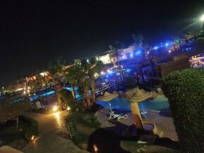 Фото Rehana Sharm Resort