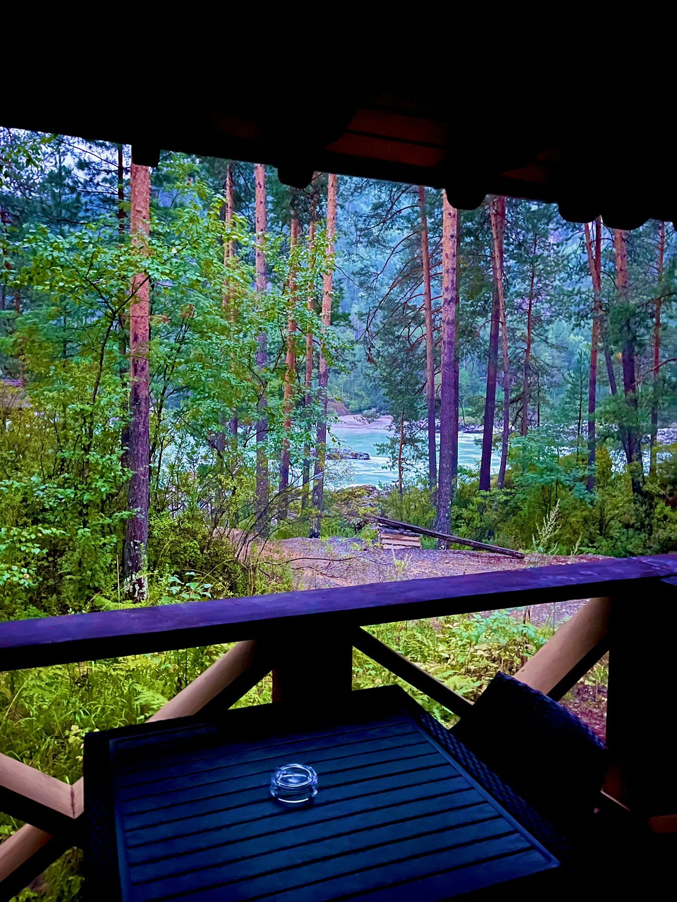 Фото Кедровый остров