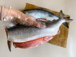 Pivo i ryba (Yuzhny planirovochny rayon, Zacheryomushny rayon, Rabochaya ulitsa, 48), pescados y mariscos