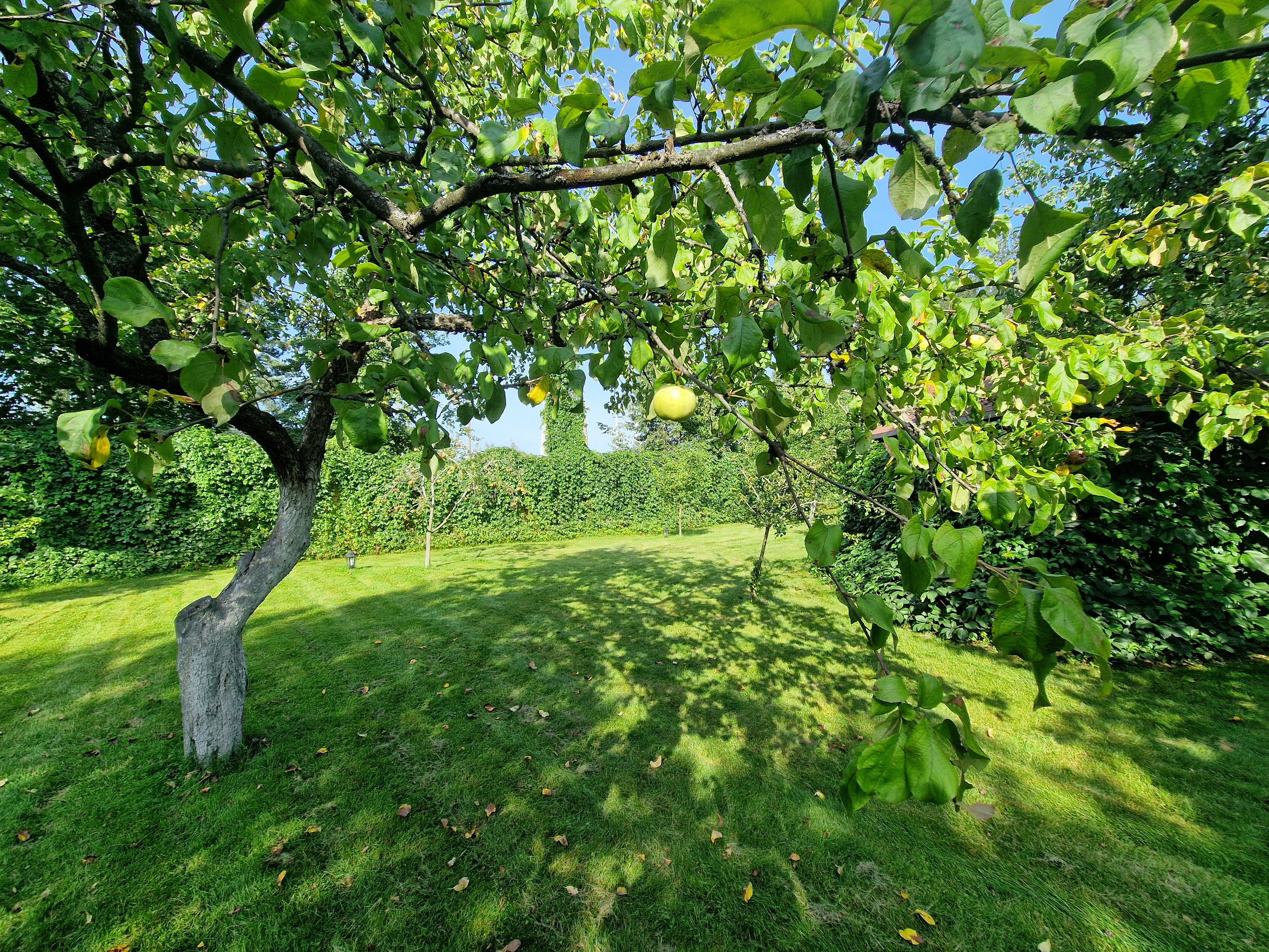 Фото Криница