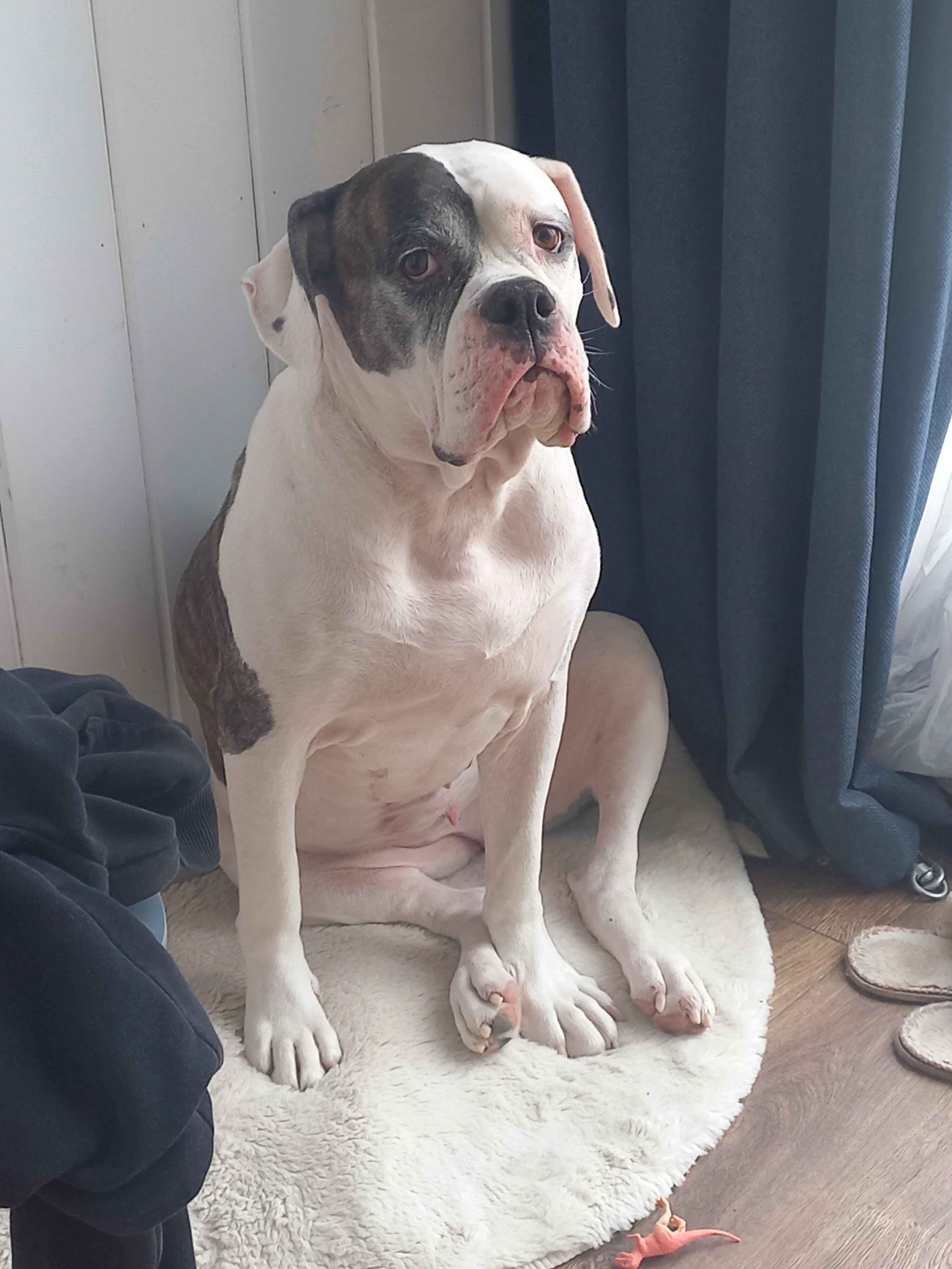 Фото Sheluha house