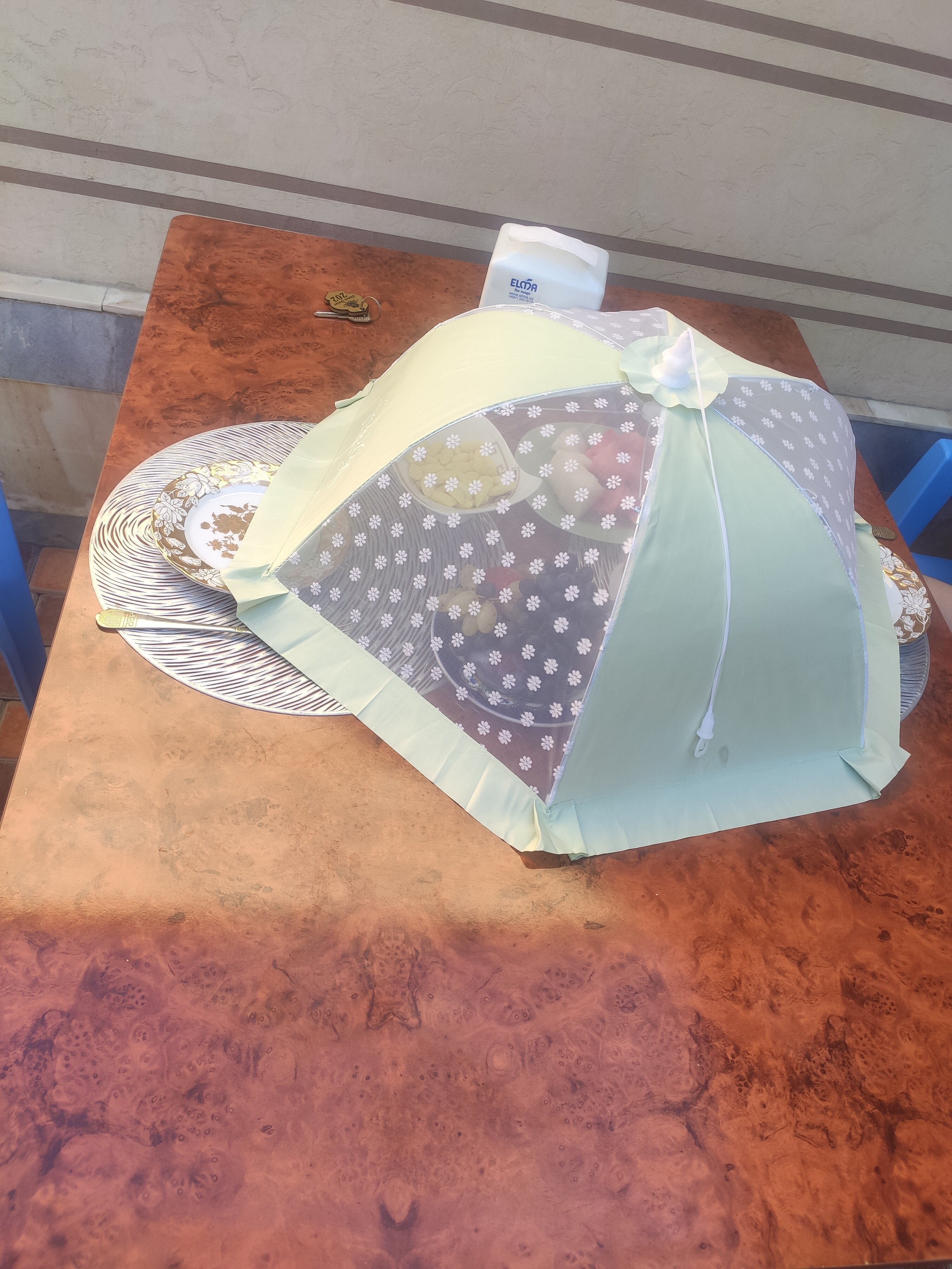 Фото 16309779532