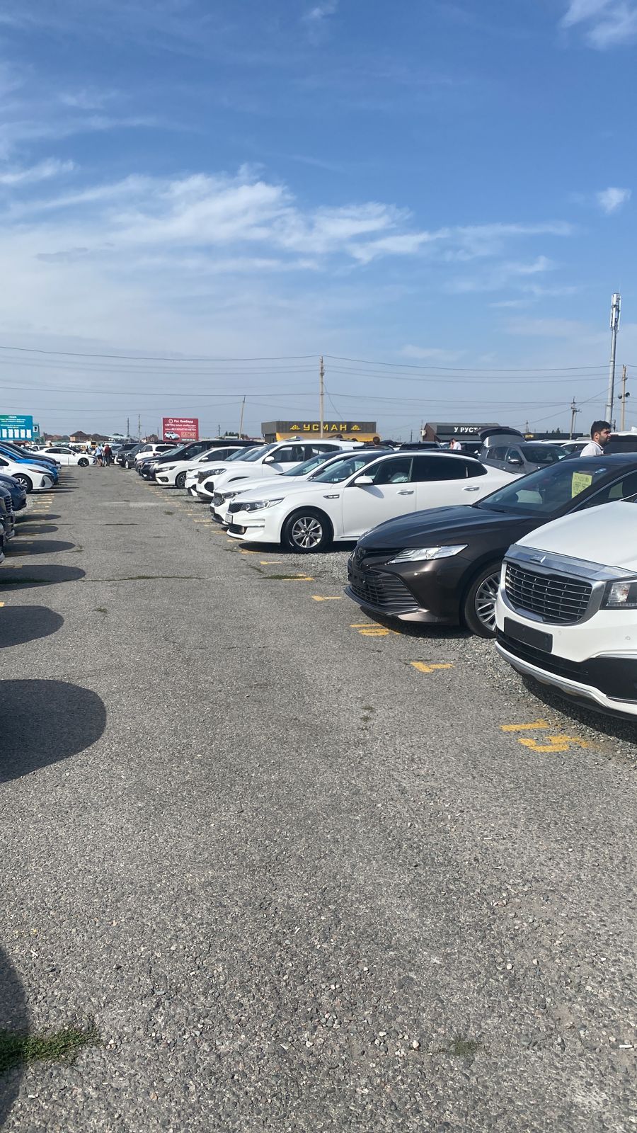 Авторынок бишкек 2022 5 сектор