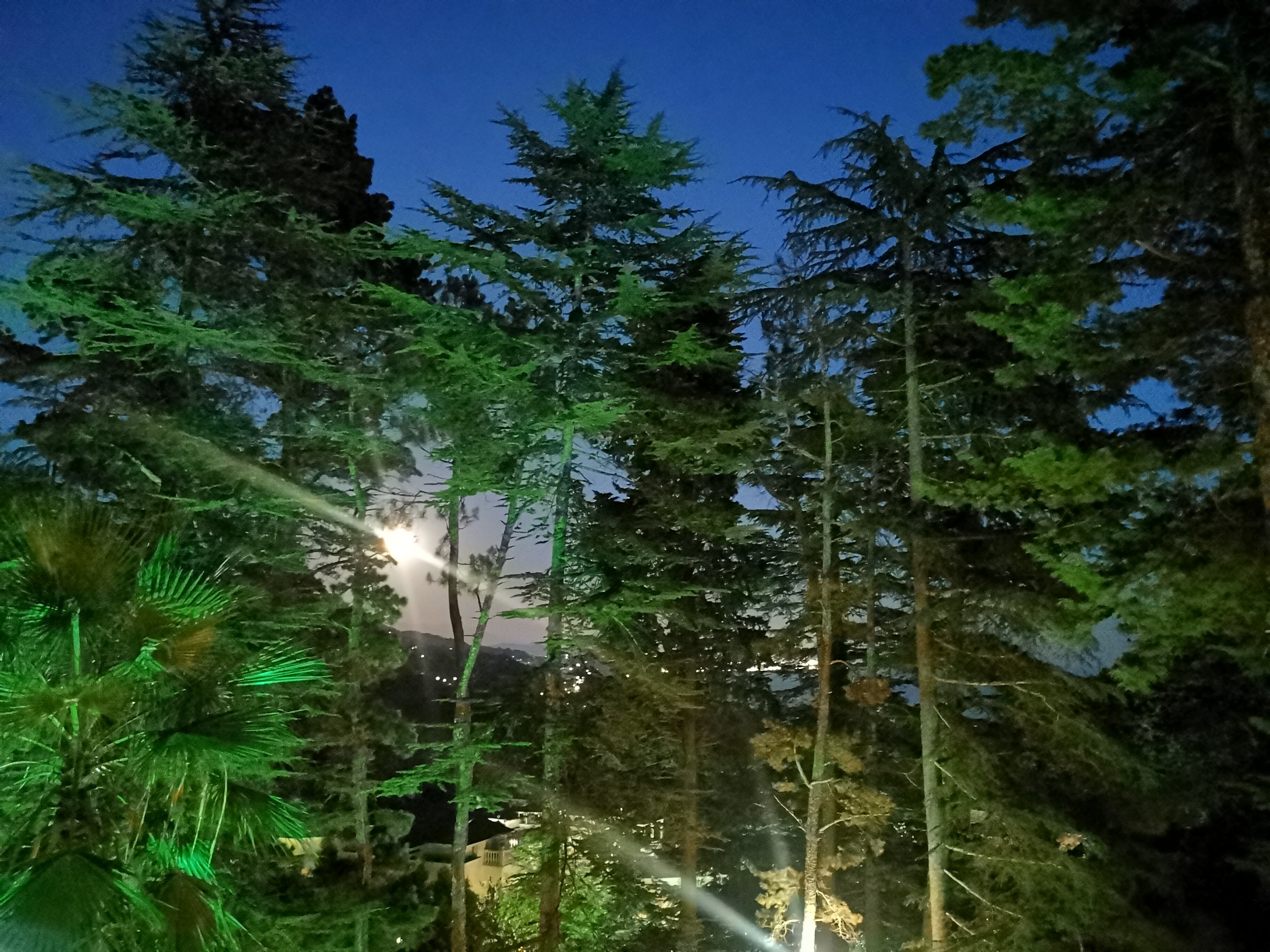 Фото Рест-Мацеста