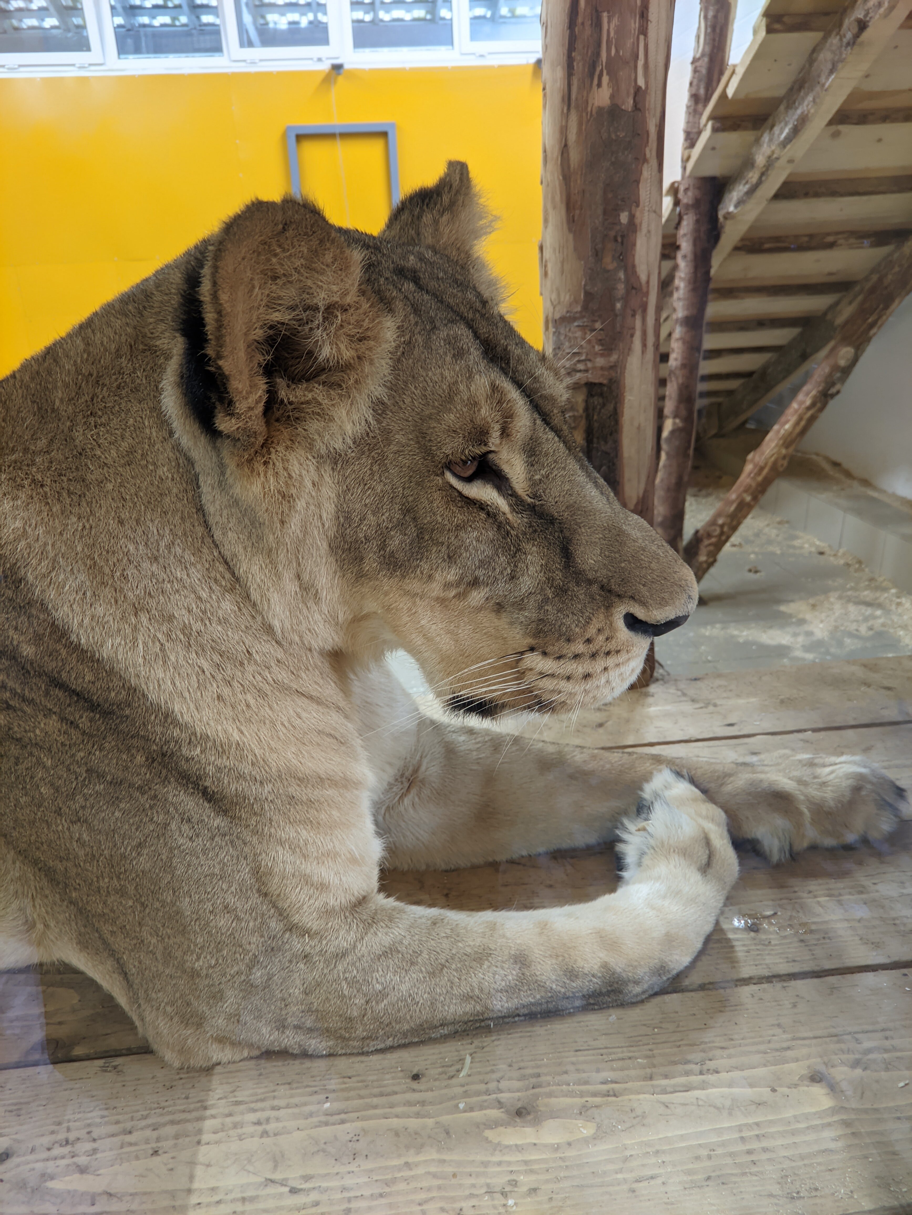 Фото 2-й Этаж