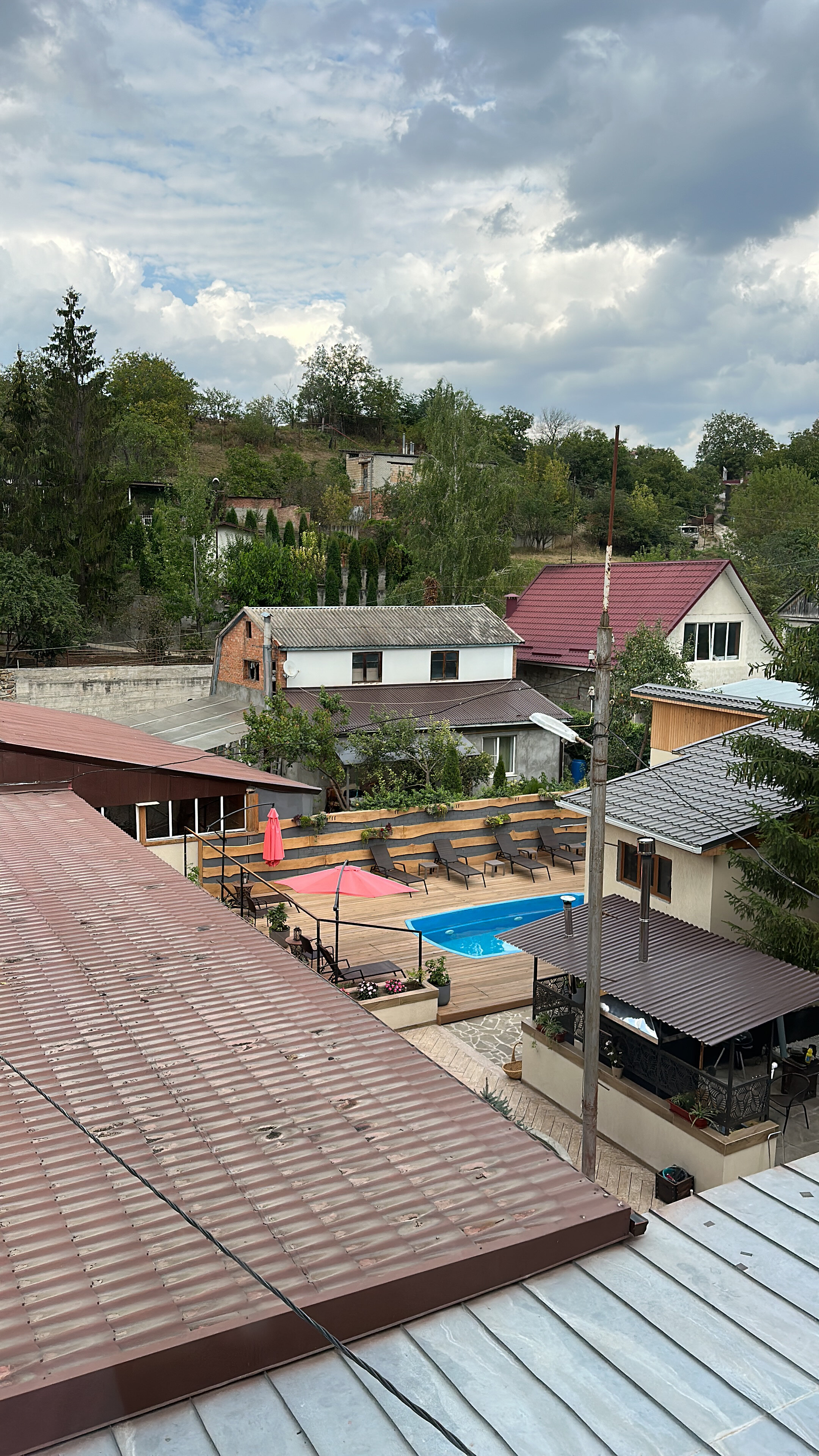 Фото Розмарин