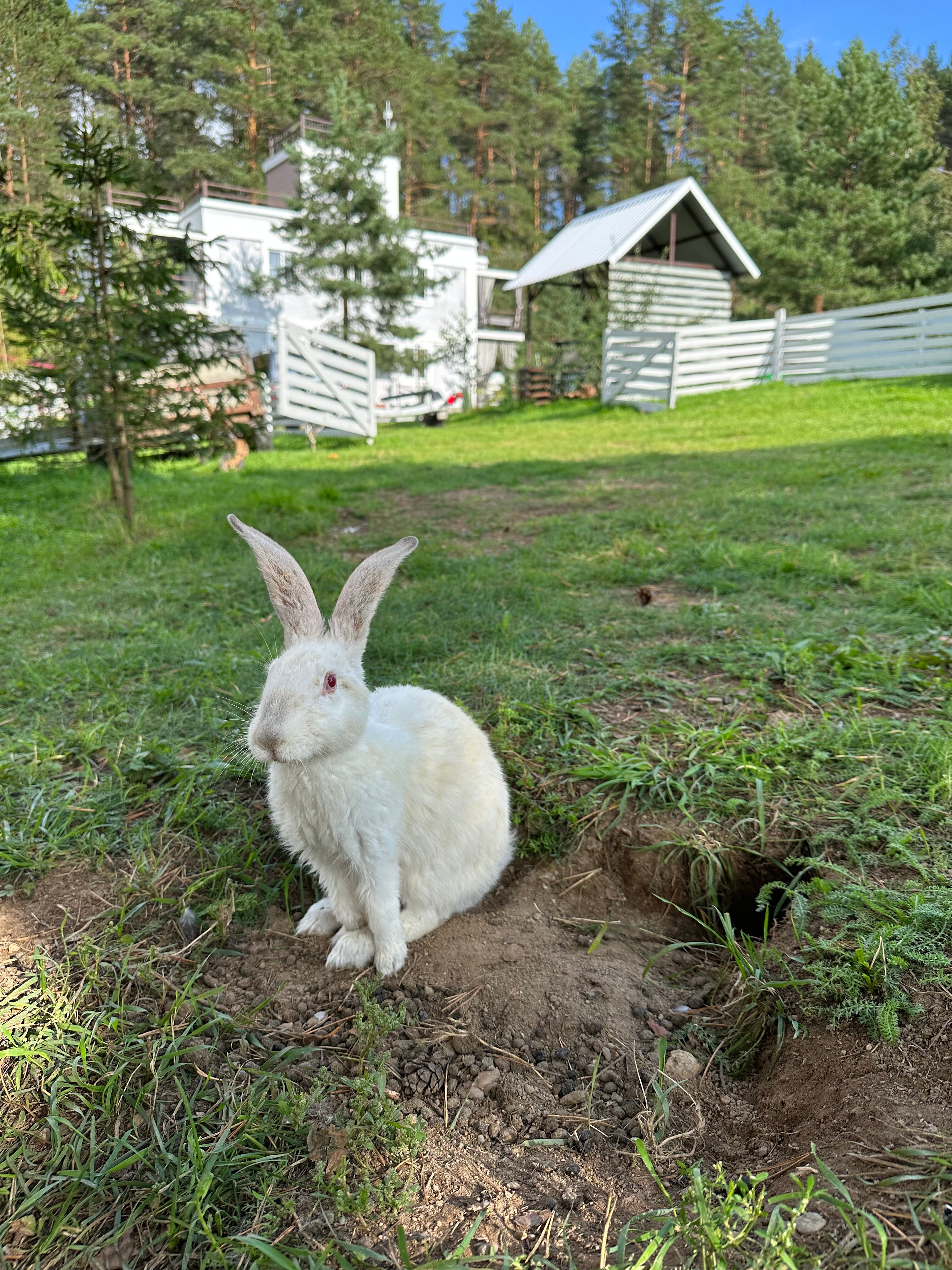 Фото Озерява