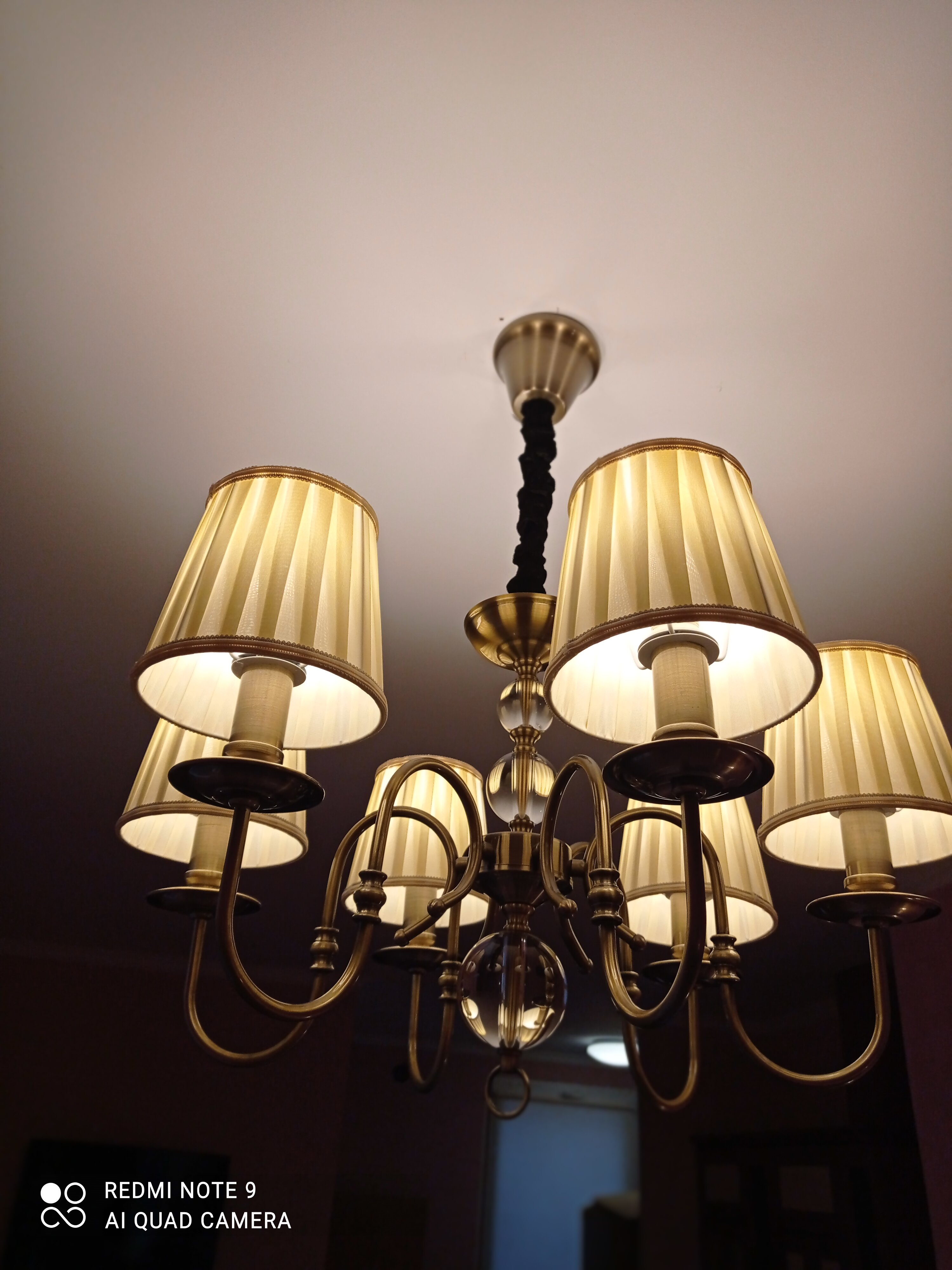 Фото Алупка Роза