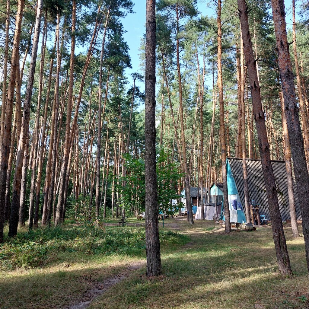 Summer camp Спортивно-оздоровительный лагерь ТГТУ Бодрость, Tambov Oblast, photo