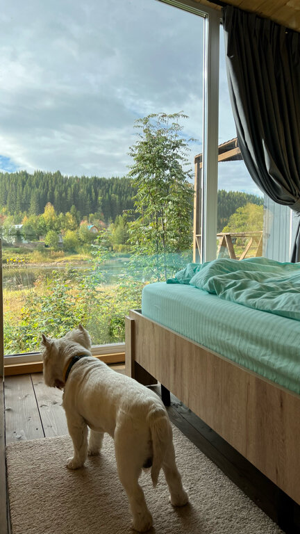 Фото Территория