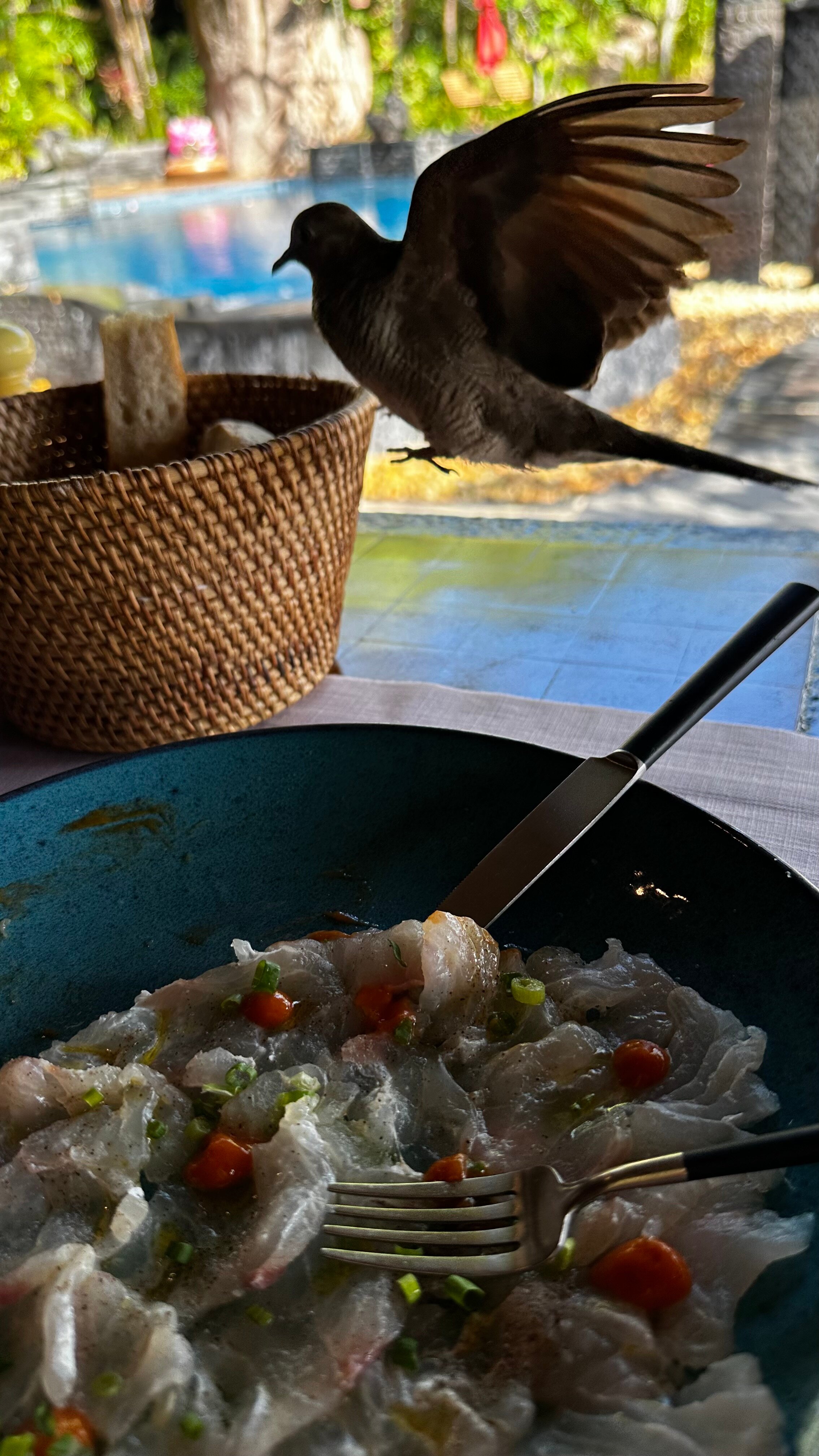 Фото Anantara Maia Seychelles Villas