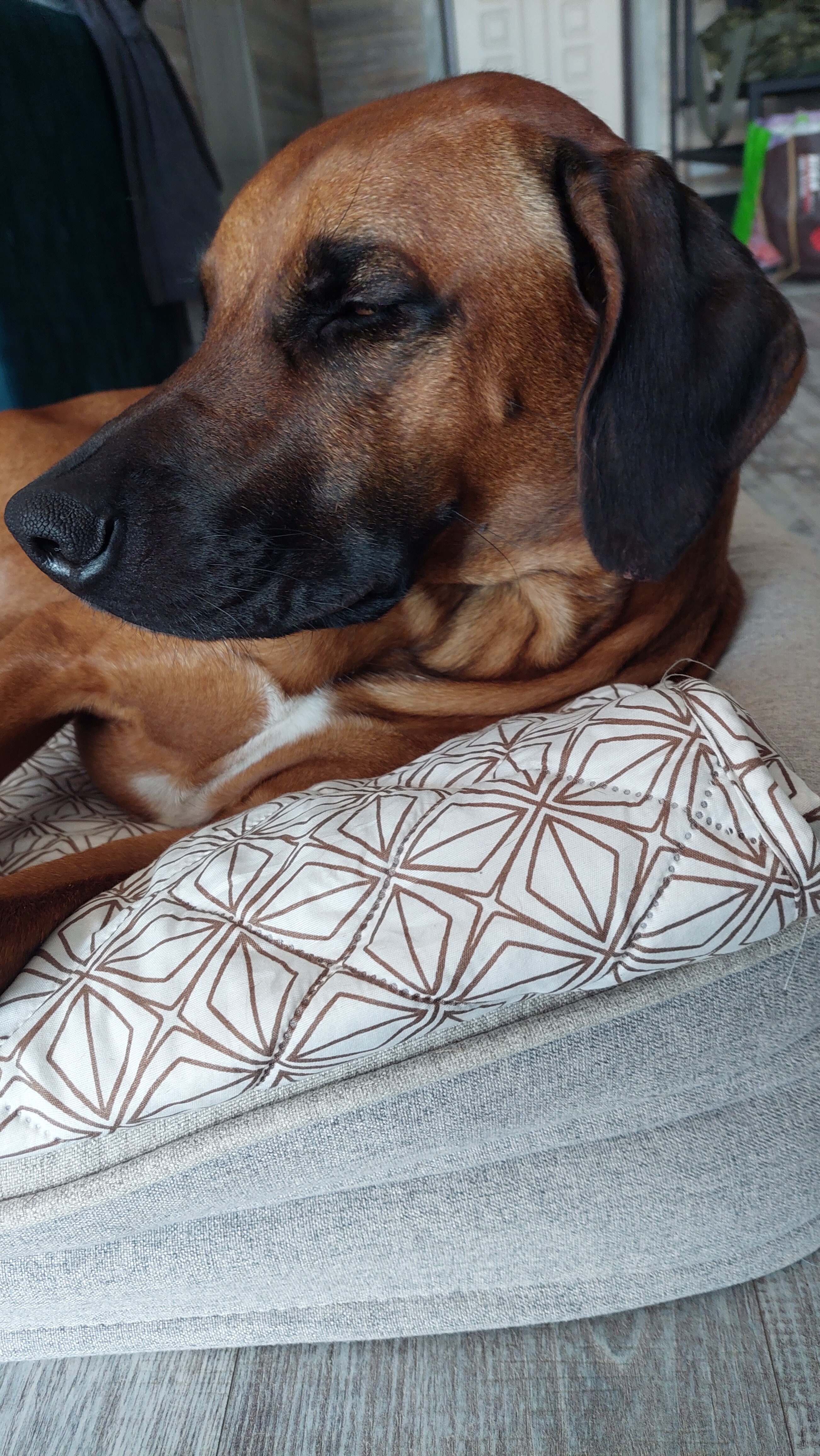 Фото Вирсавия