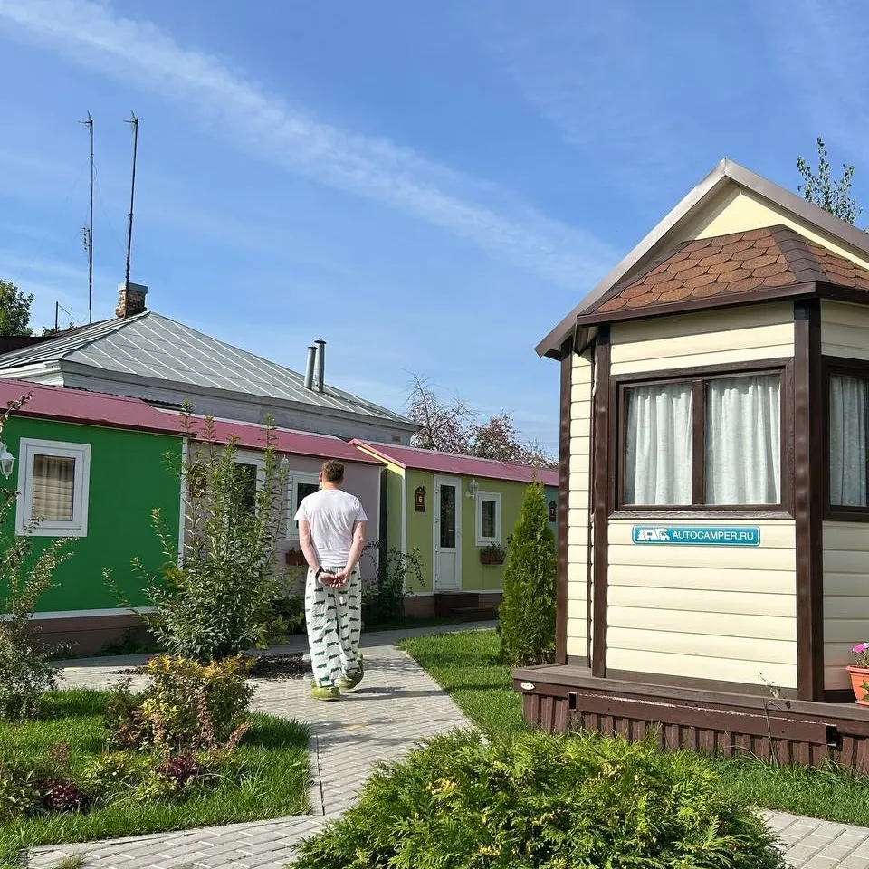 Фото Два гуся