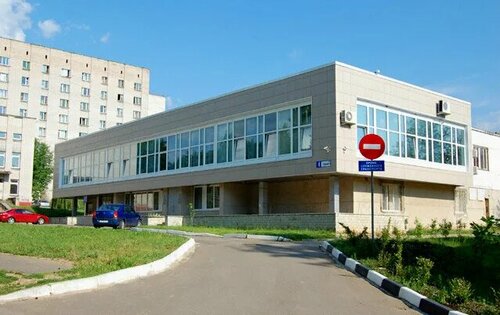 Обнинский колледж искусств ул горького 4 фото