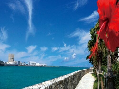 Гостиница Loisir Hotel & x26; SPA Tower Naha в Нахе