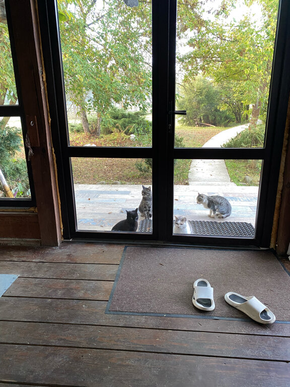 Фото Усадьба Заповедная