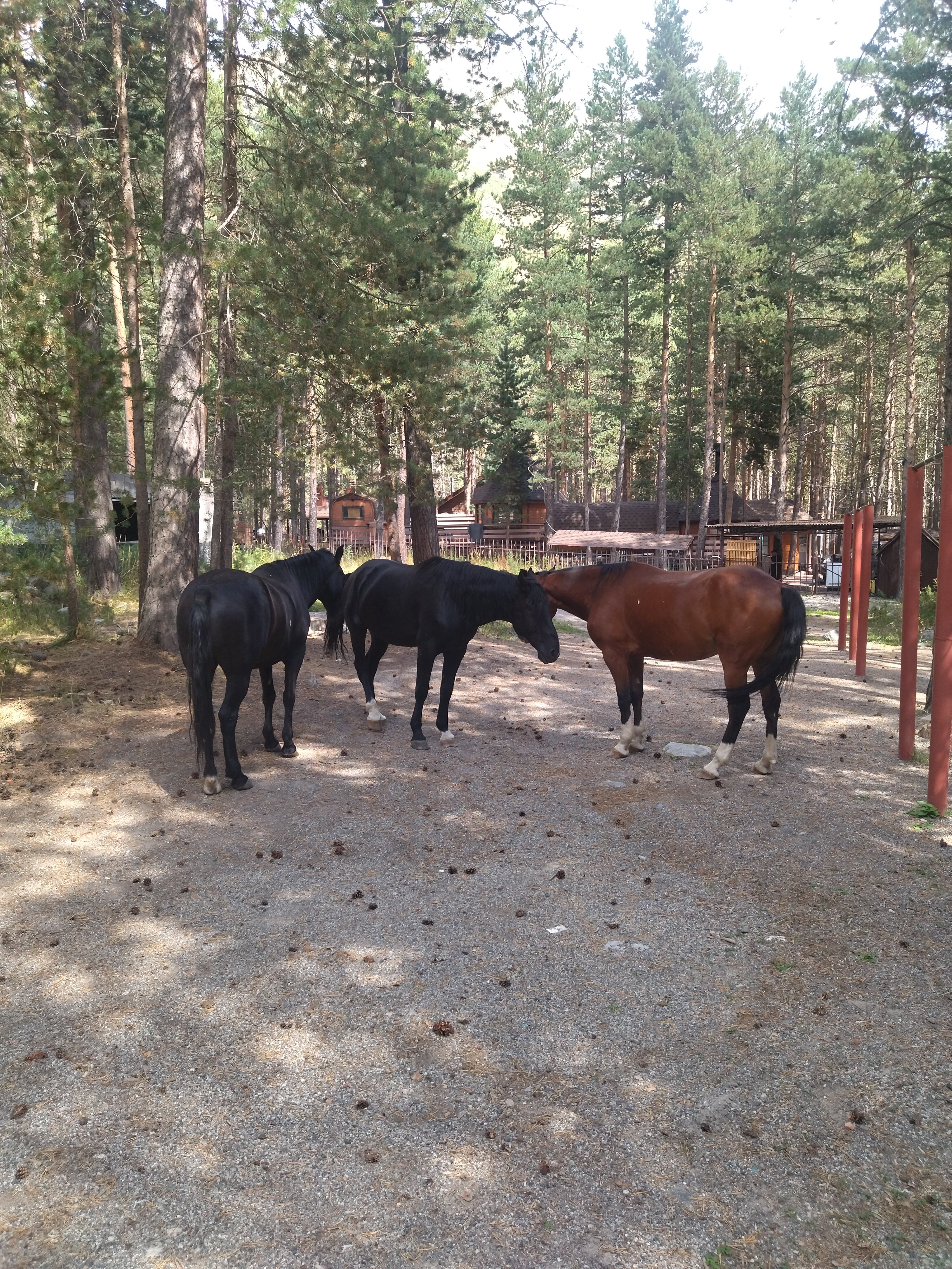 Фото Поворот