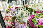 Monte Luxe (Moscow, Nikolskaya Street, 25), flower shop