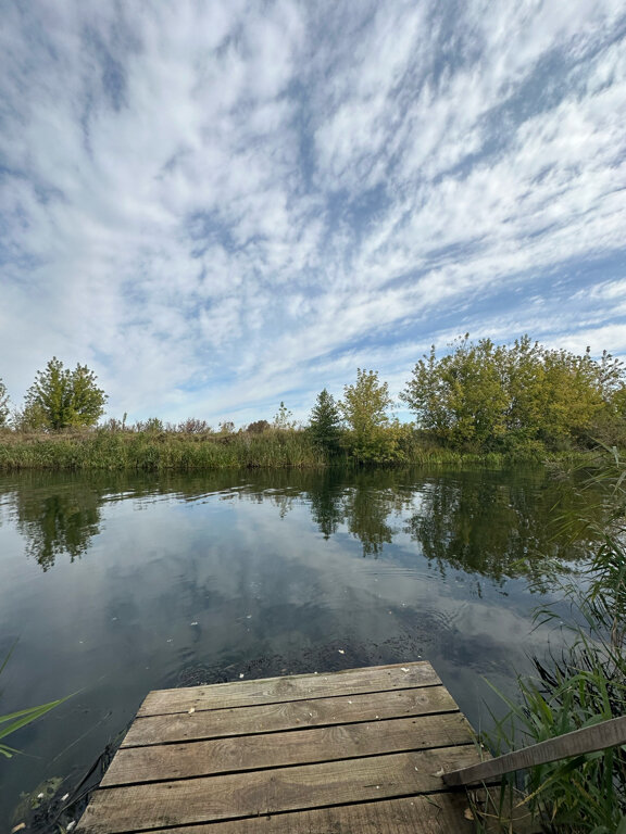 Фото Фактория