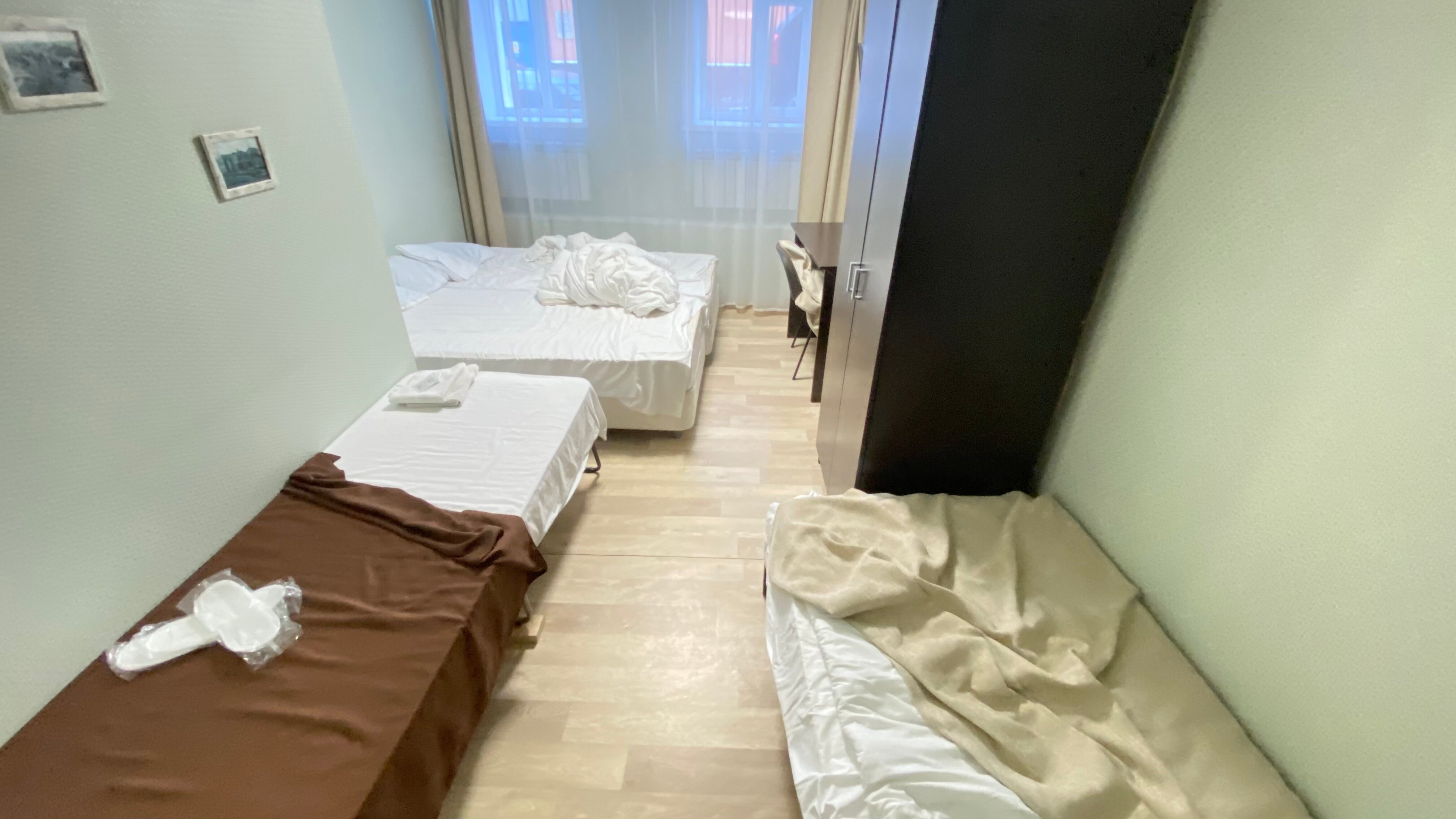 Фото Базилик