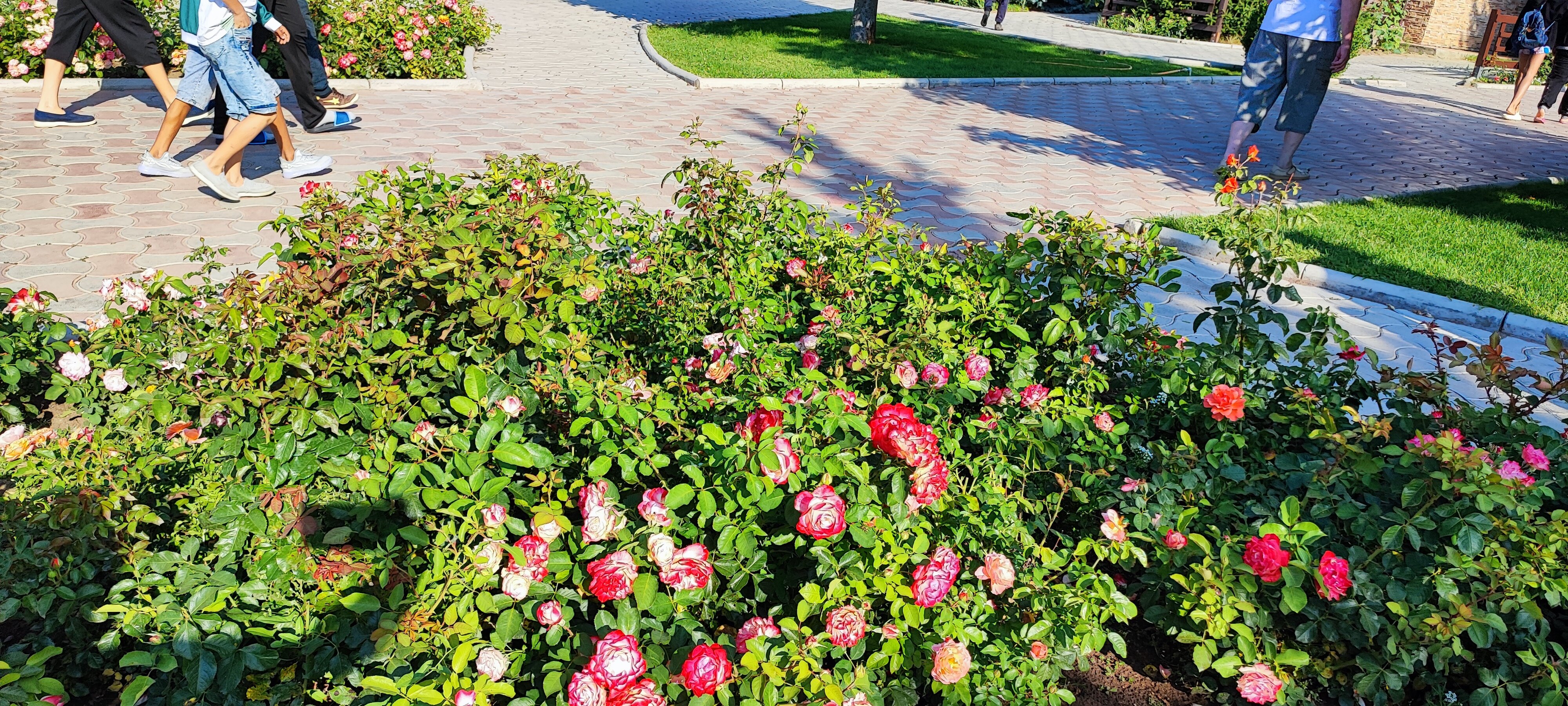 Фото Коломенское