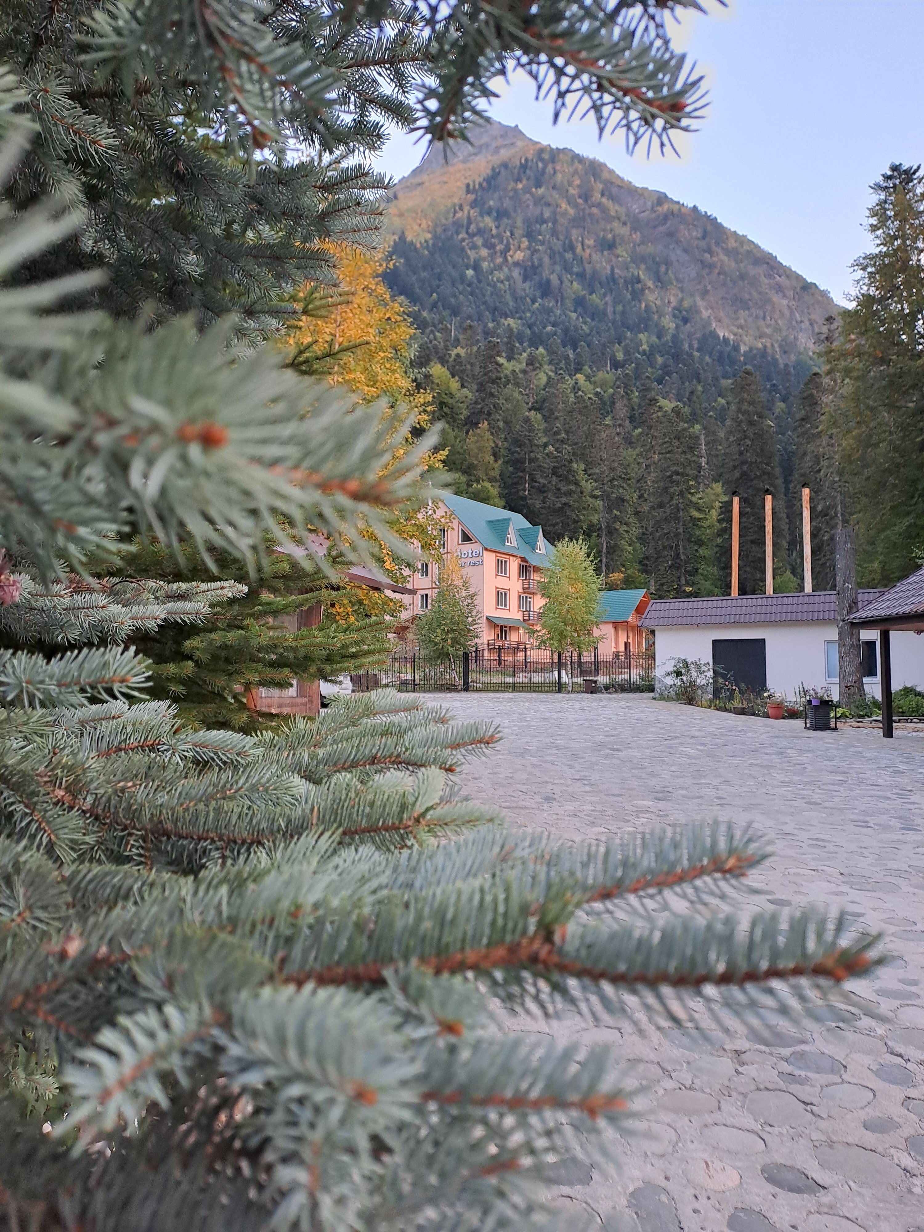 Фото Снежный Барс