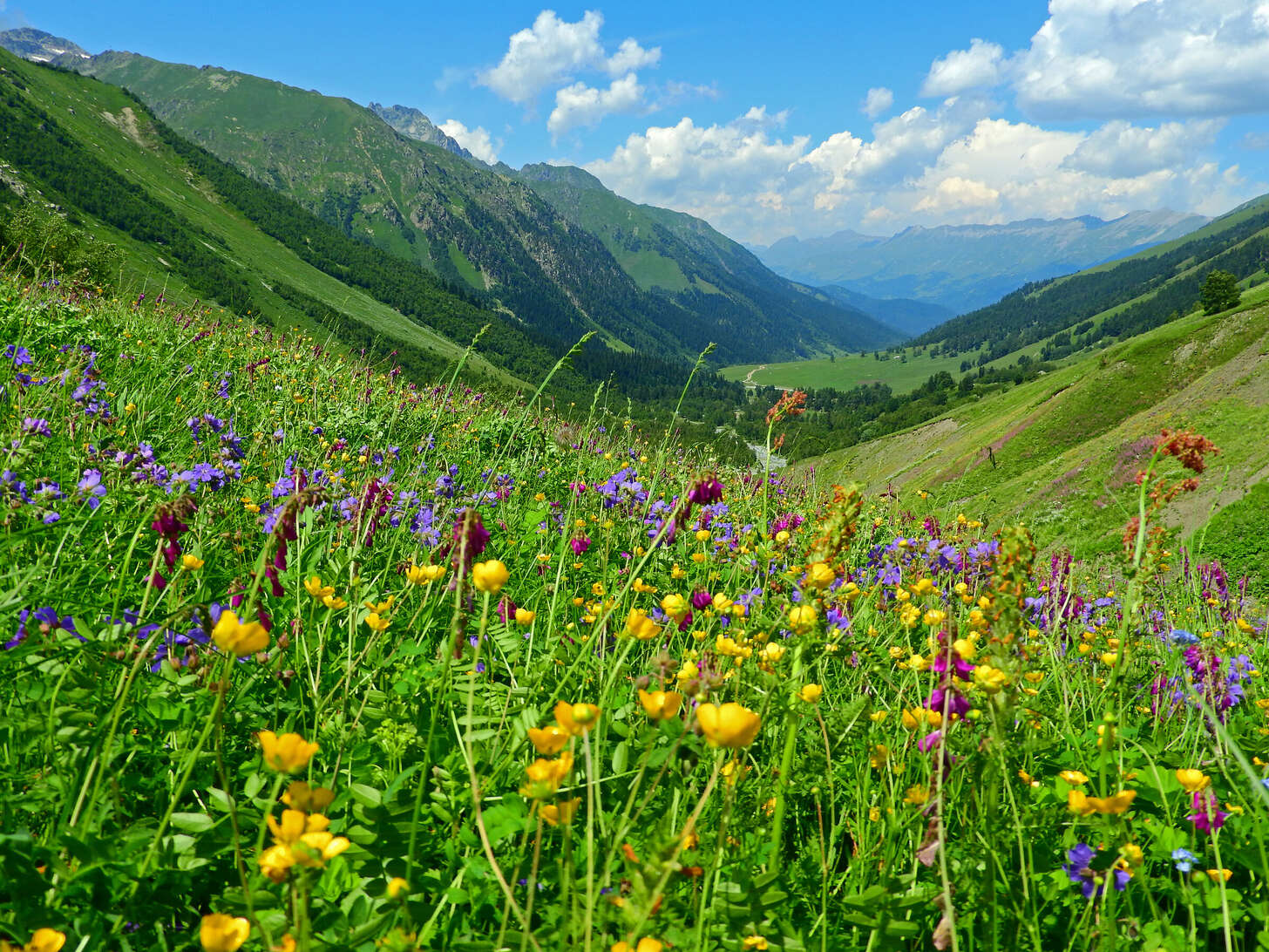 Фото Архыз и точка