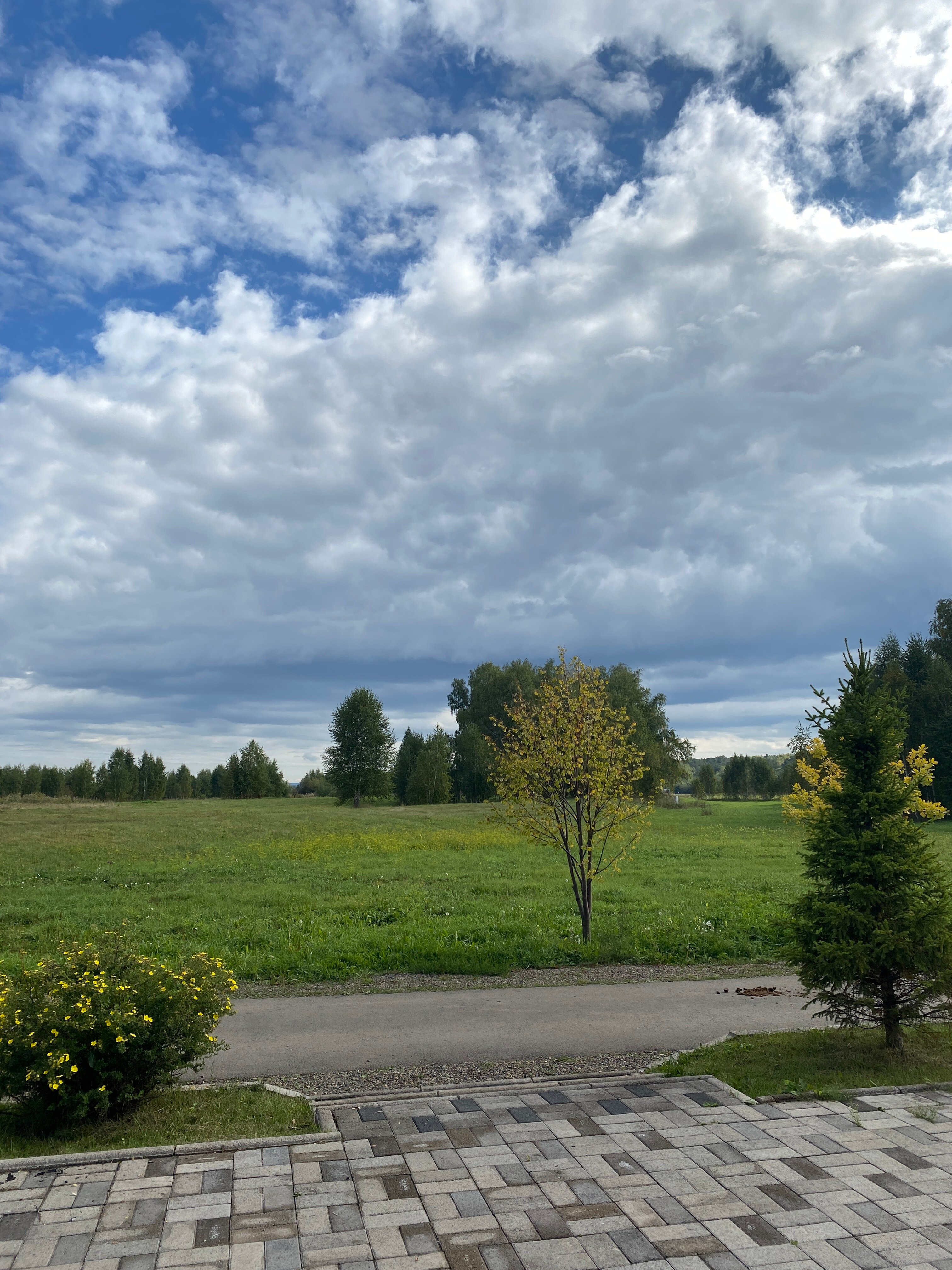 Фото Бабушкина дача