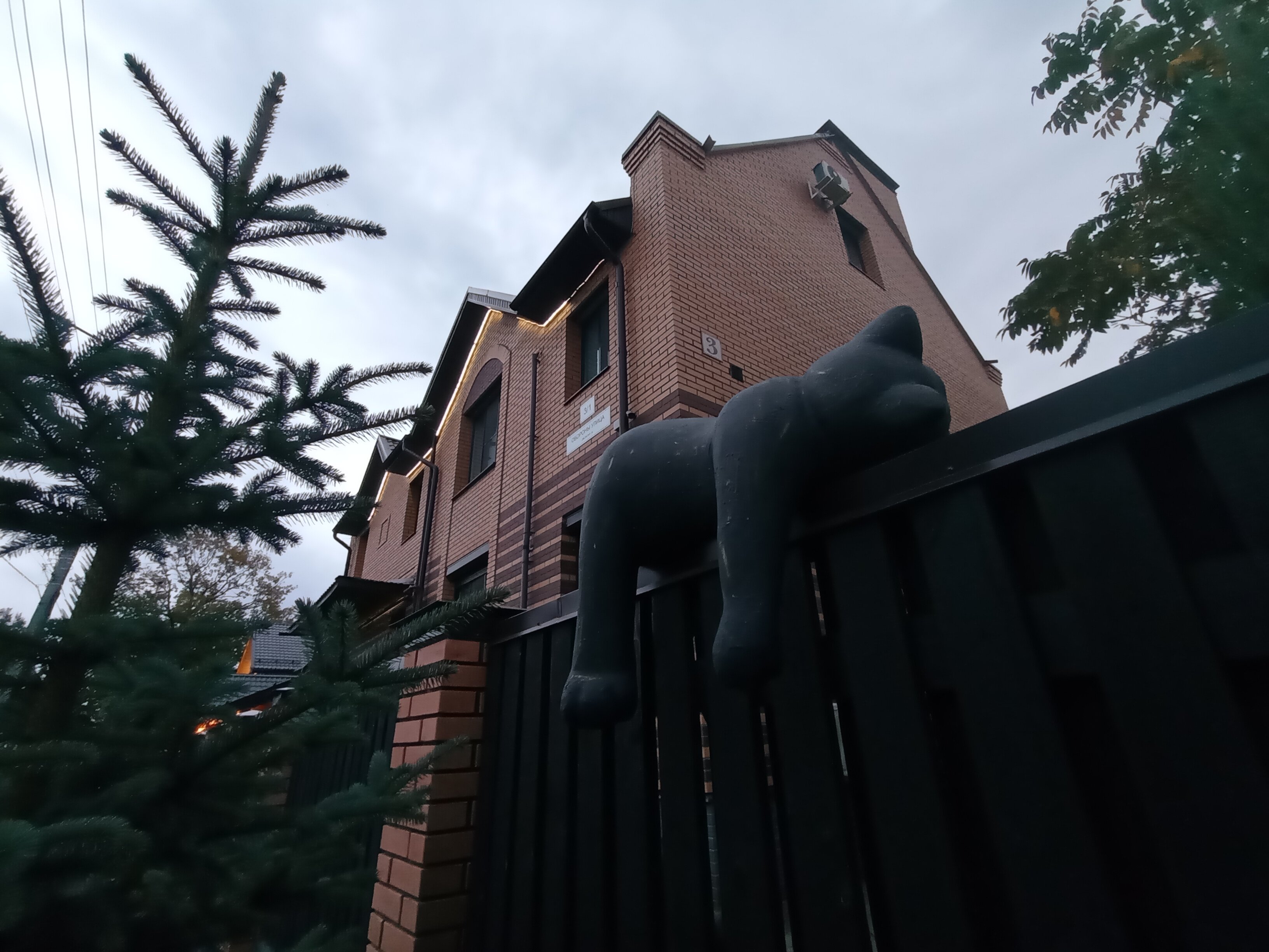 Фото Три кота