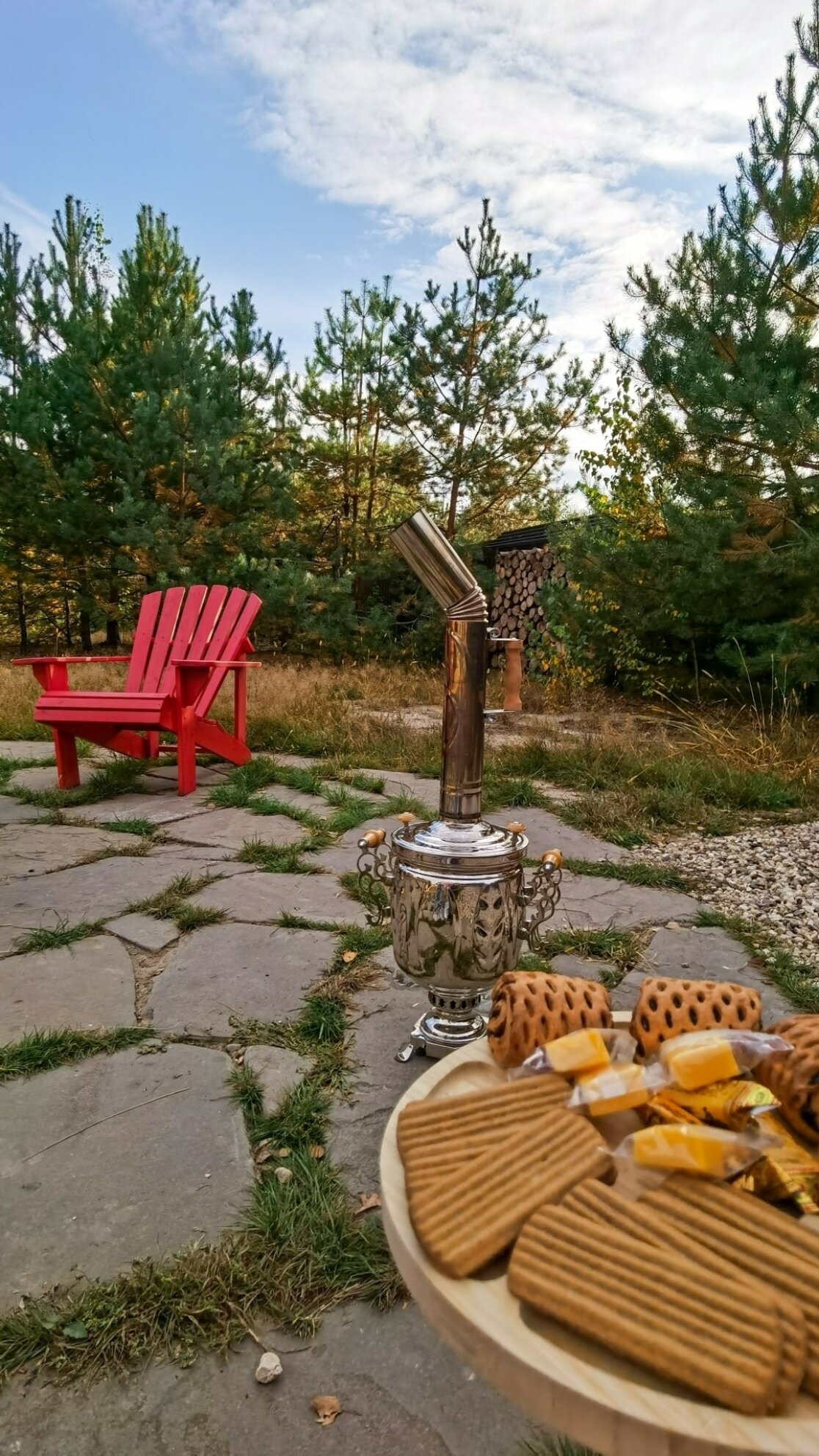 Фото Дача в соснах