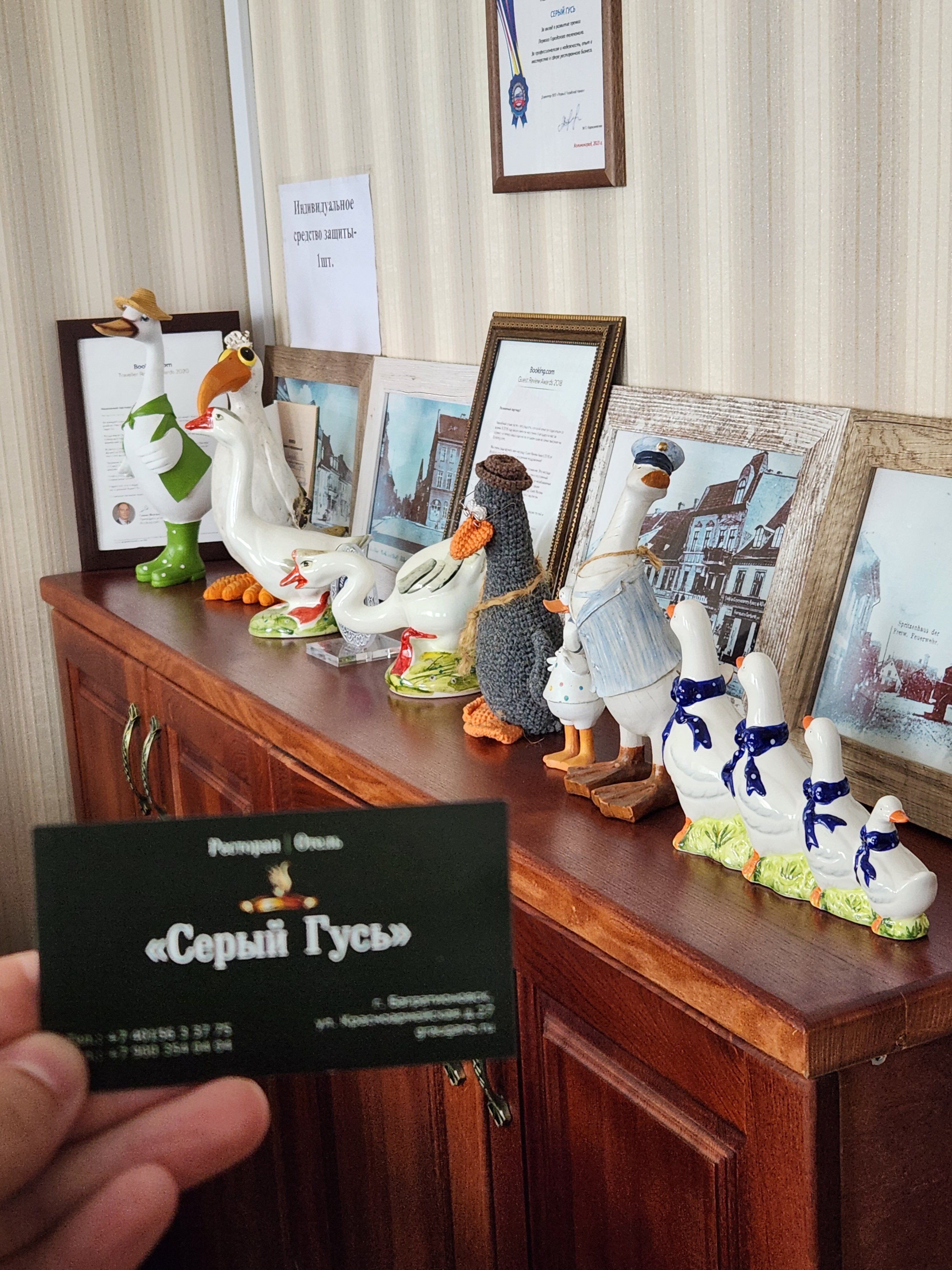 Фото Серый гусь