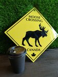 Coffee at the Moose (Anadyrsky Drive, вл14Бс1), coffee shop