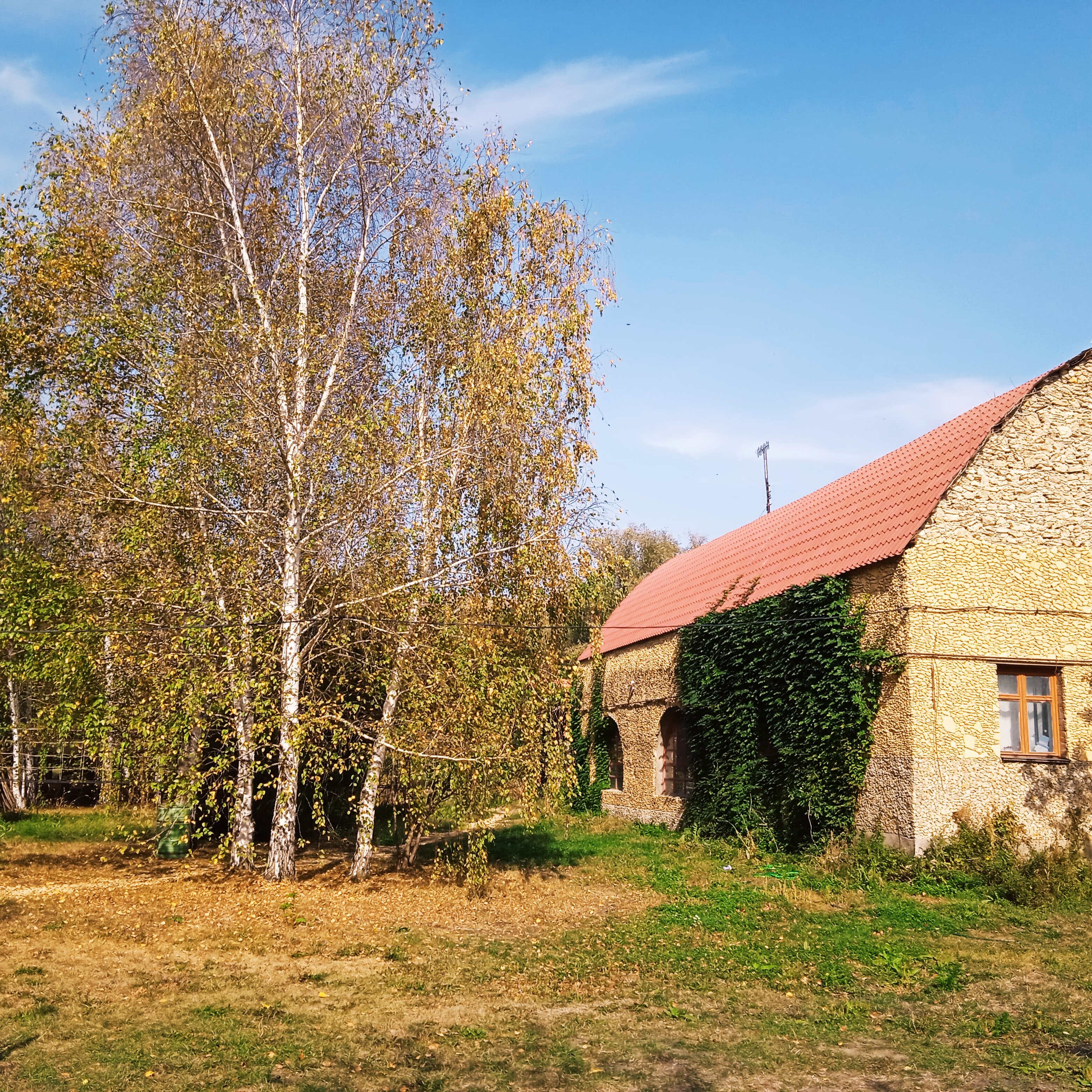 Фото Тихий пруд