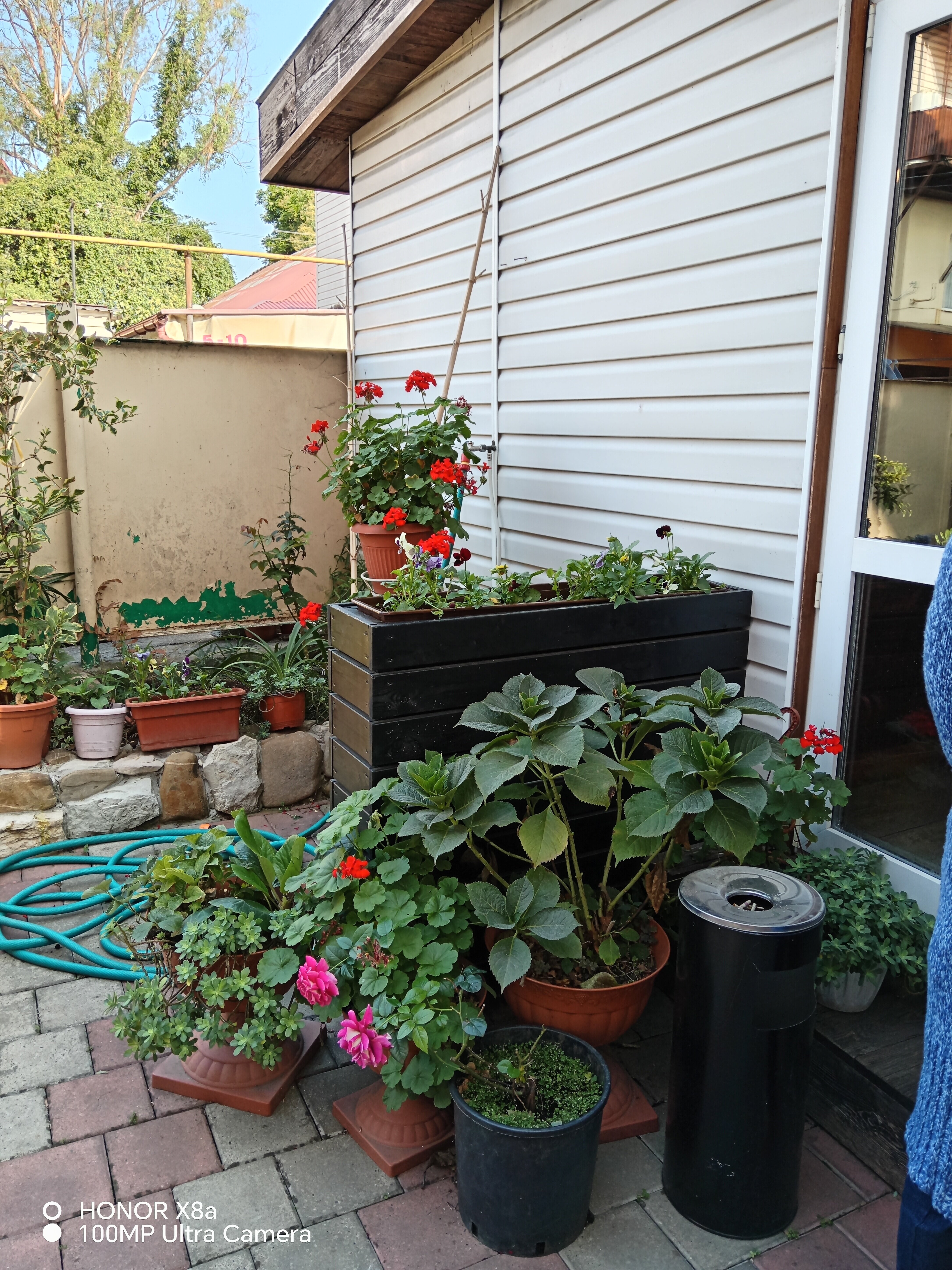 Фото Розали