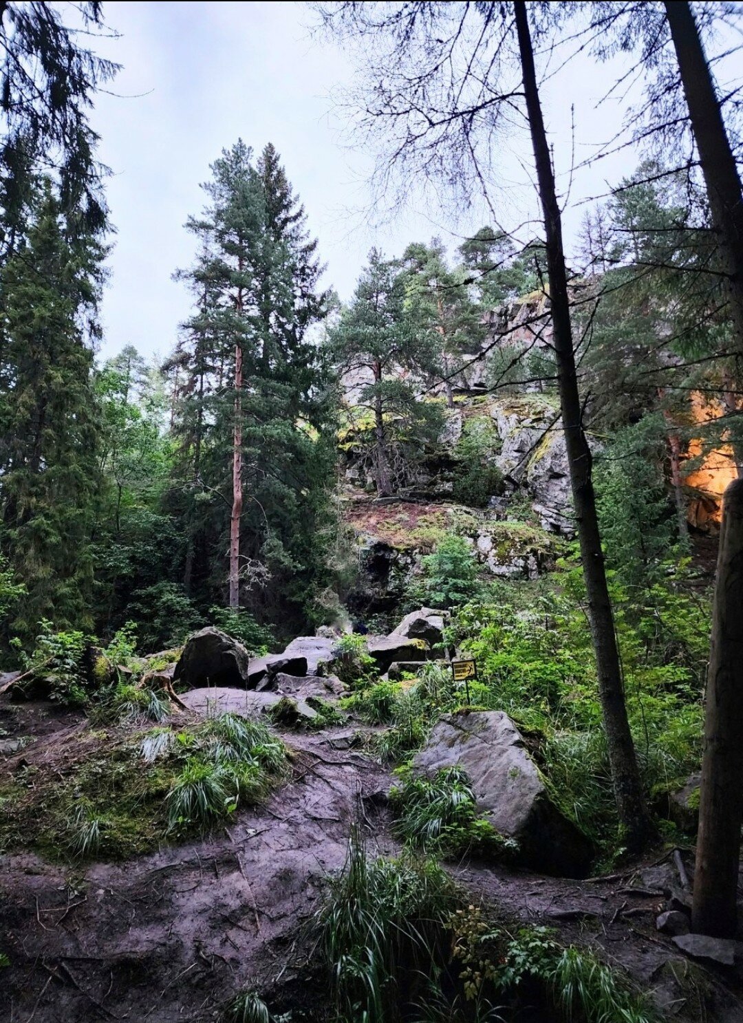 Фото Villi Honka