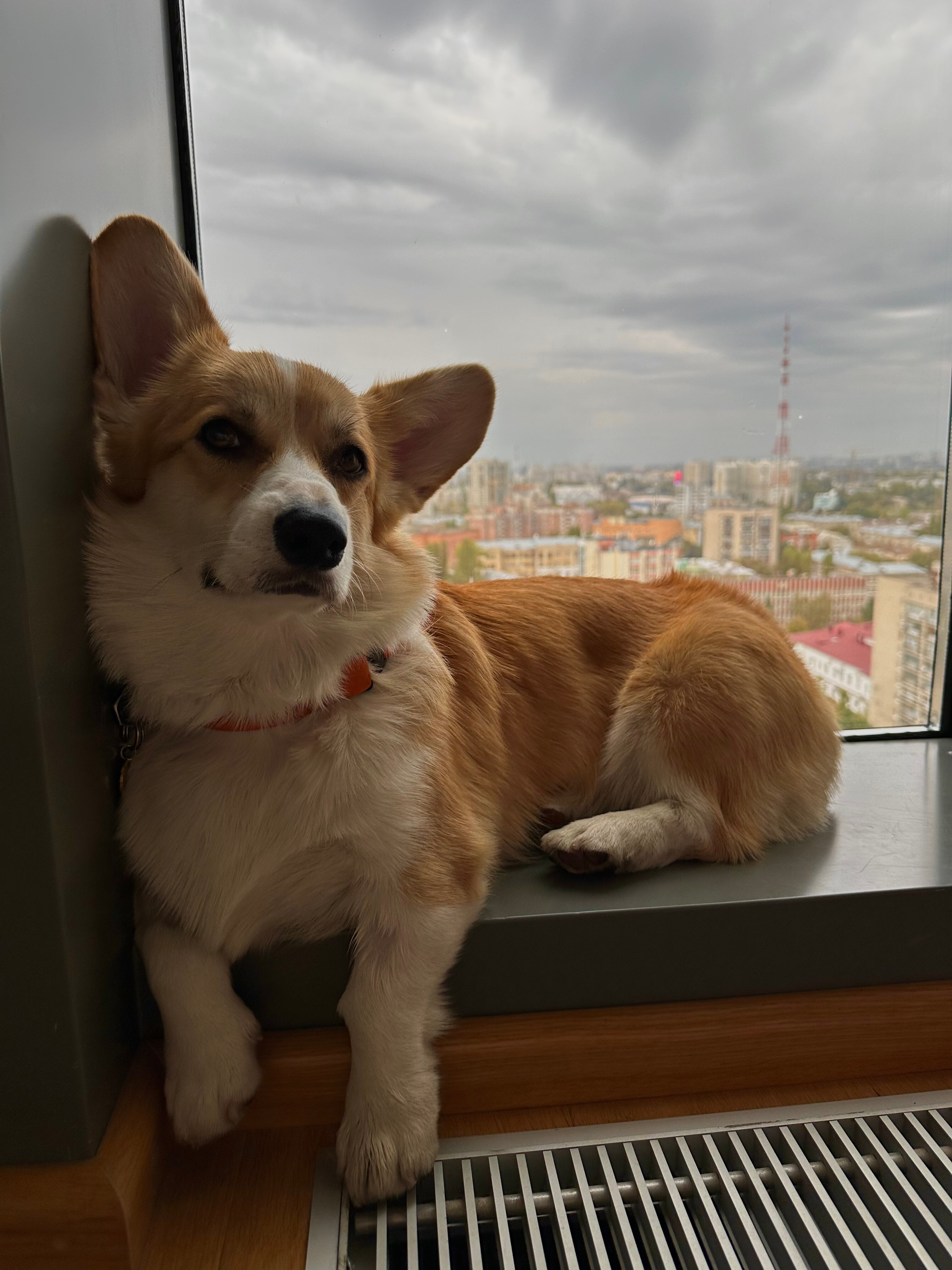 Фото Марриотт Воронеж