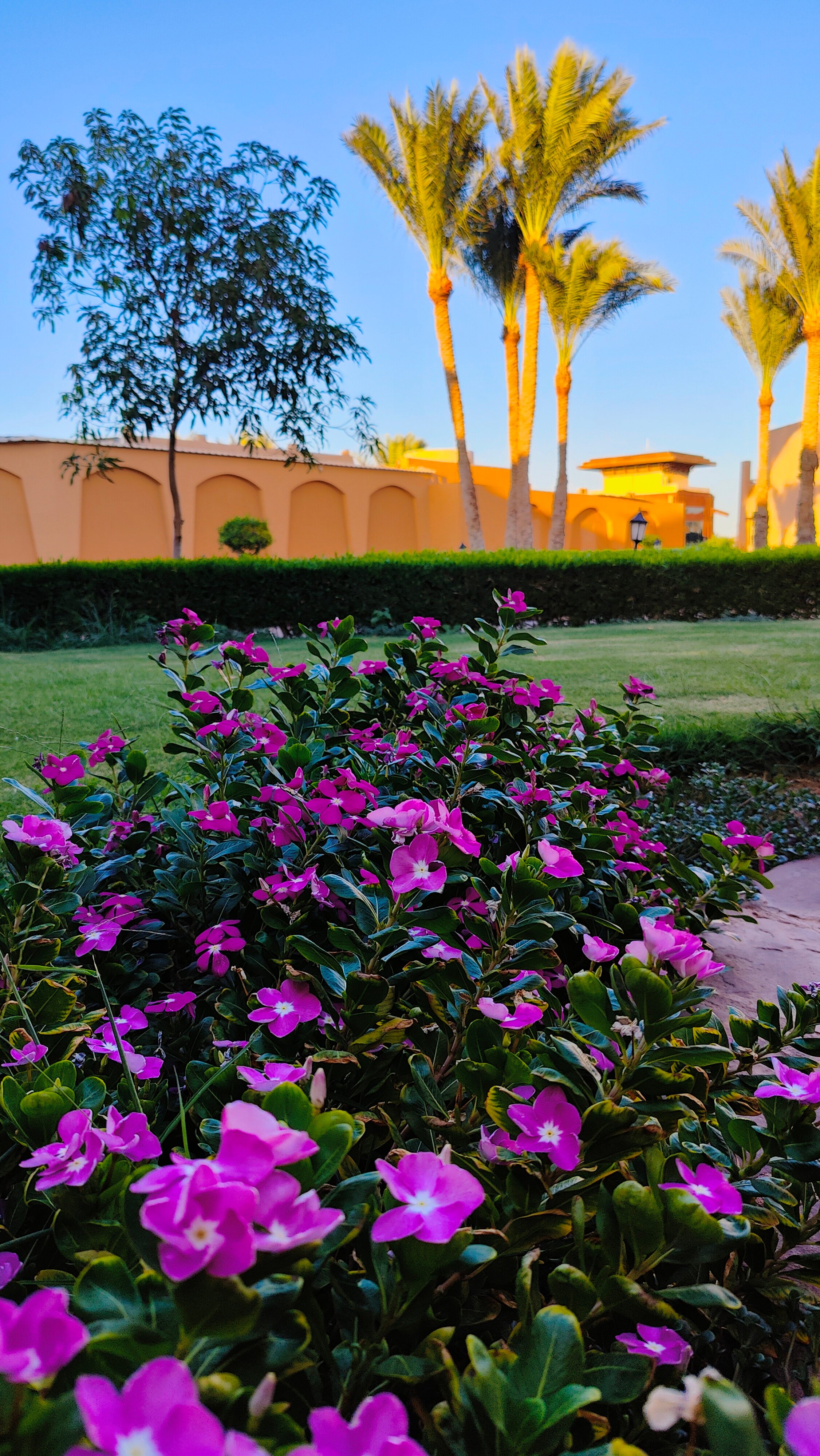 Фото Sharm Grand Plaza