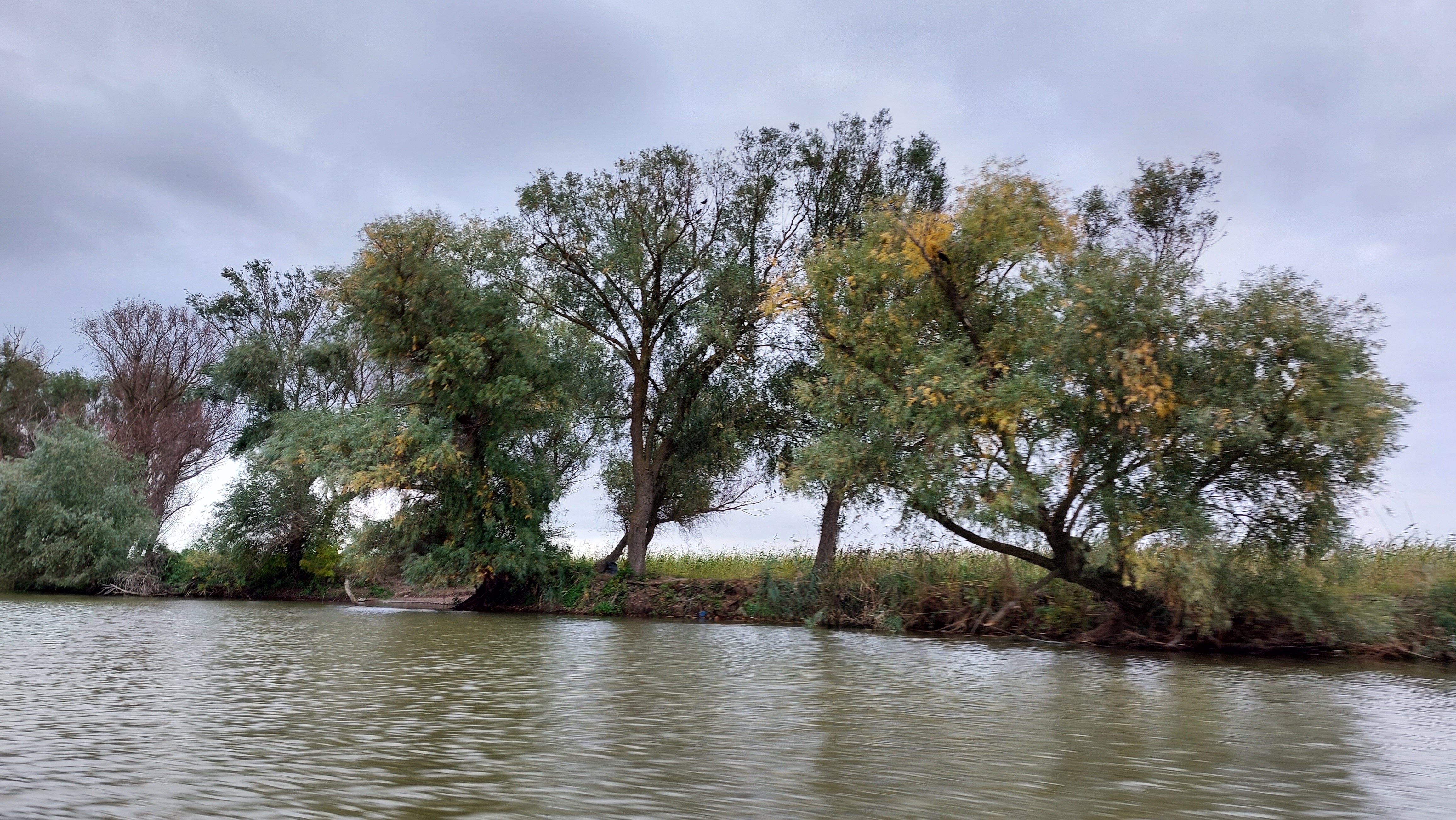 Фото Тортуга