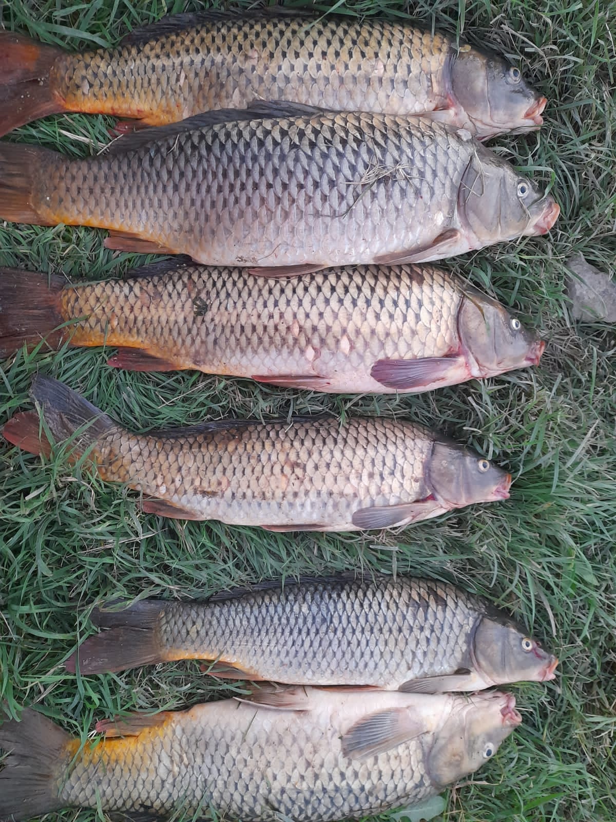 Фото У дяди Вади