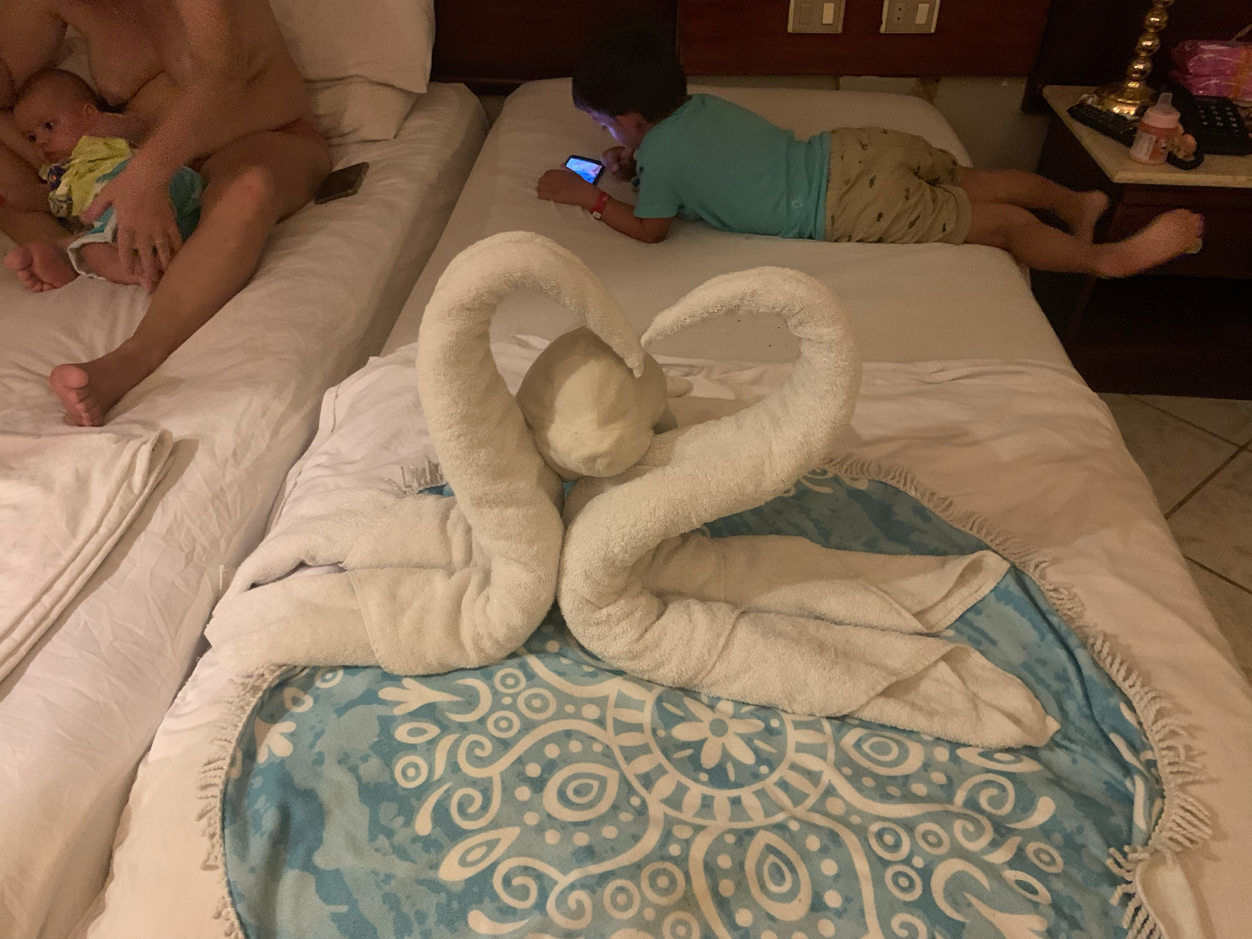 Фото Dexon Roma Hotel