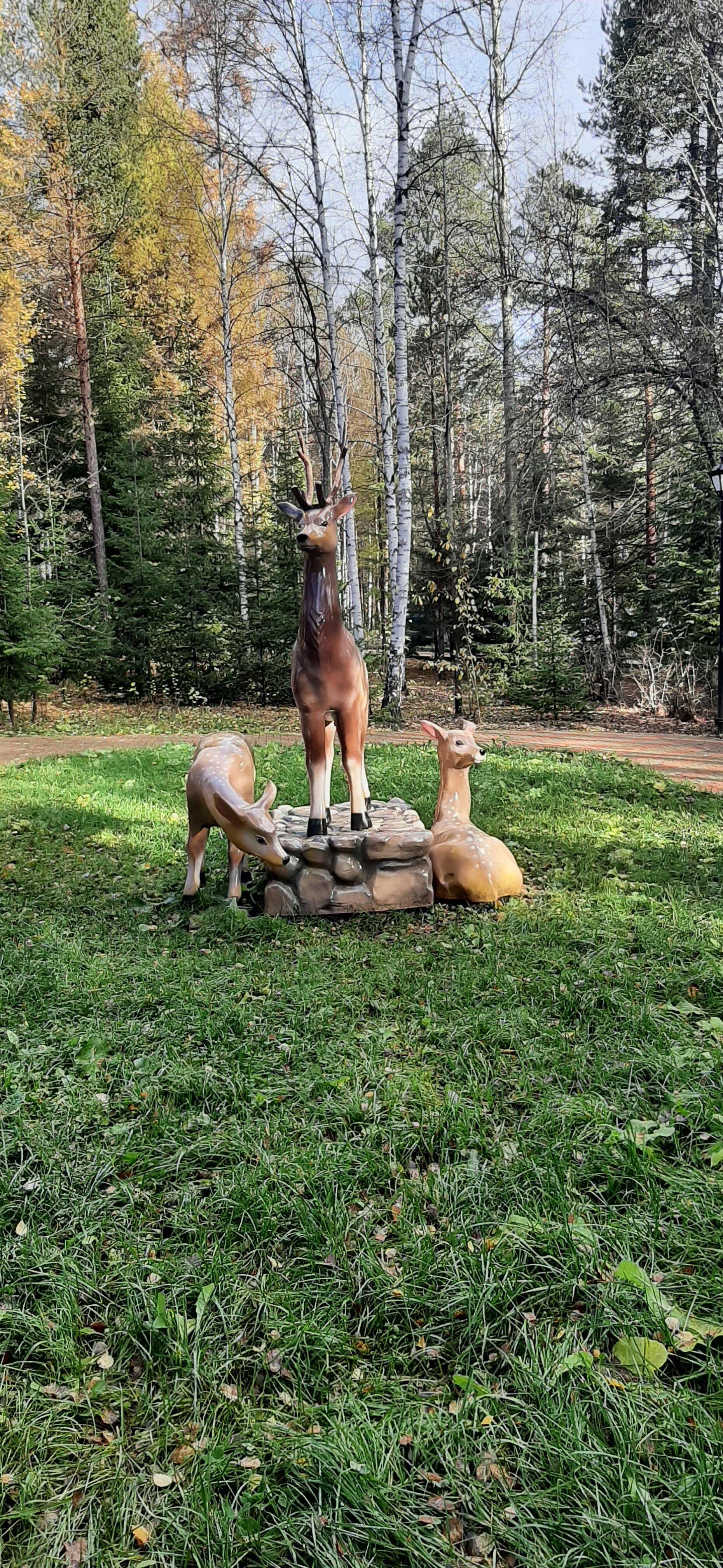 Фото Лесная сказка