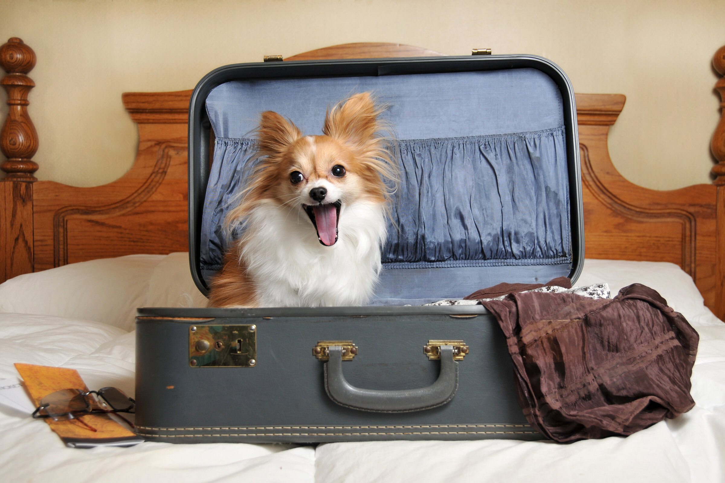 Фото Scandi Village