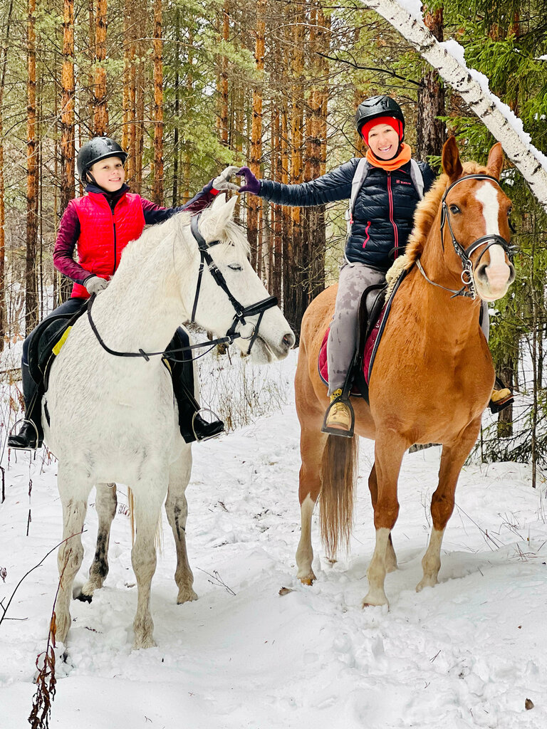 Horse riding Частная конюшня Форвард, Yekaterinburg, photo