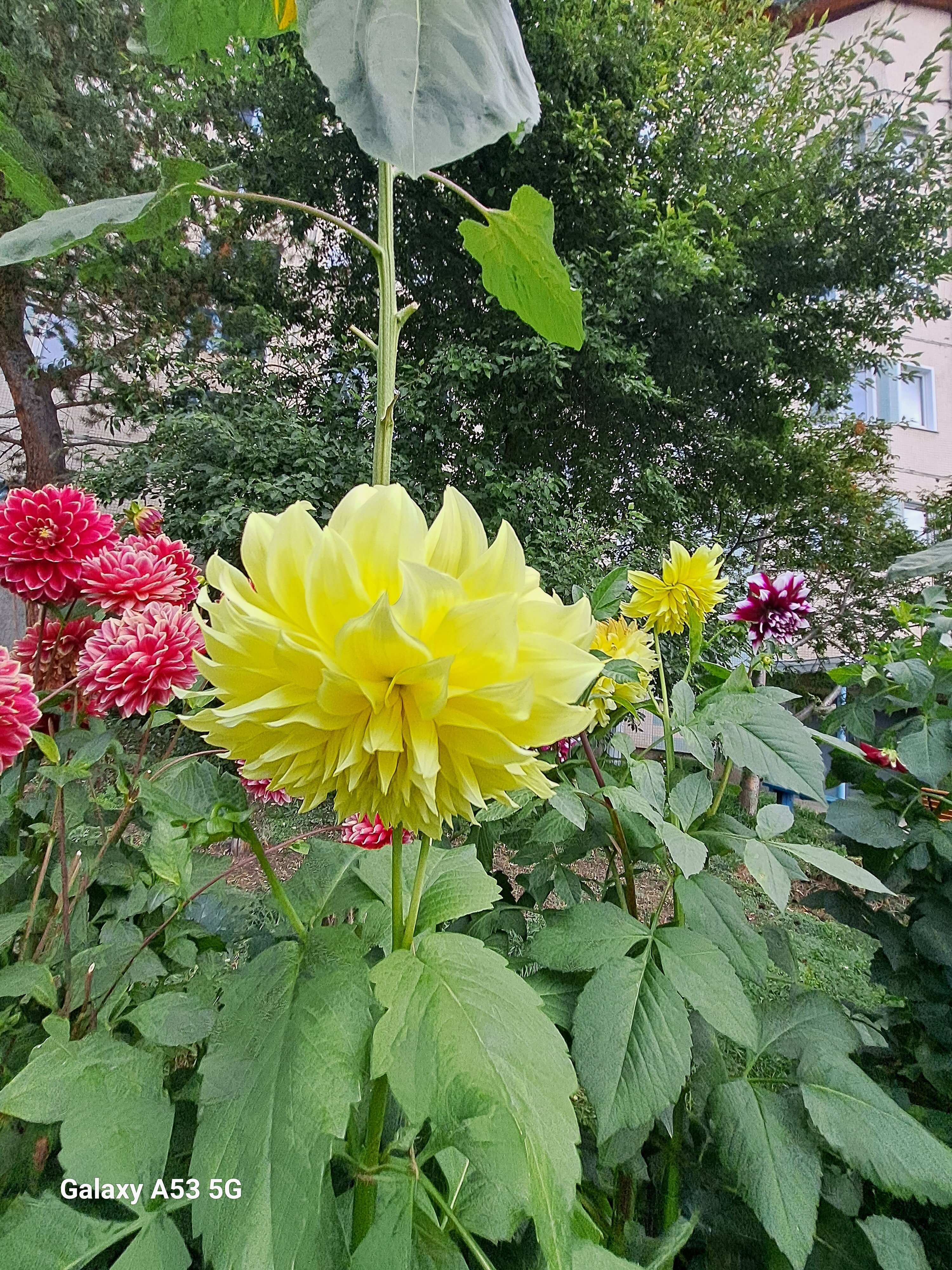 Фото Северный Байкал