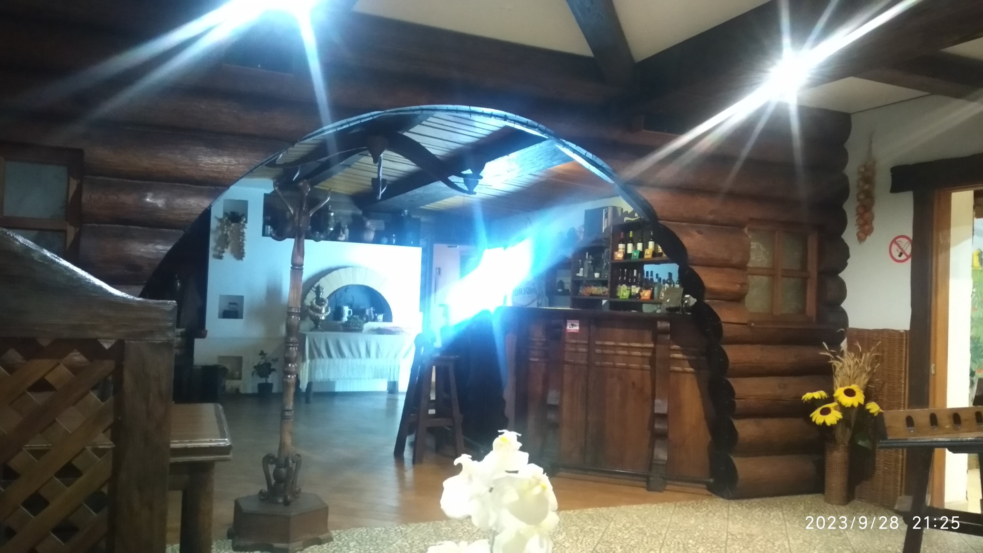 Фото Калина красная