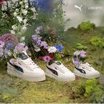 Puma (Mall of the Emirates, Al Barsha 1, Al Barsha, Hadaeq Mohammed Bin Rashid, Dubai), sportswear and shoes