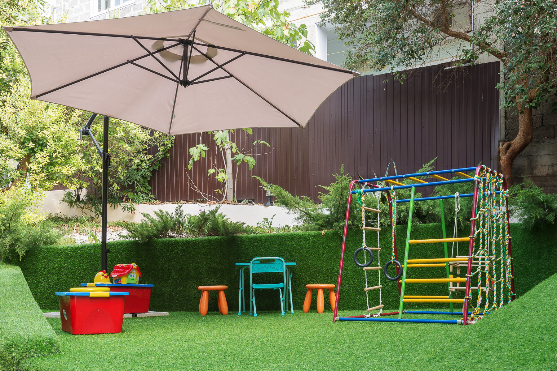 Фото Апельсин