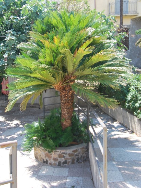 Фото Hotel San Giuseppe - CityHotel Catanzaro