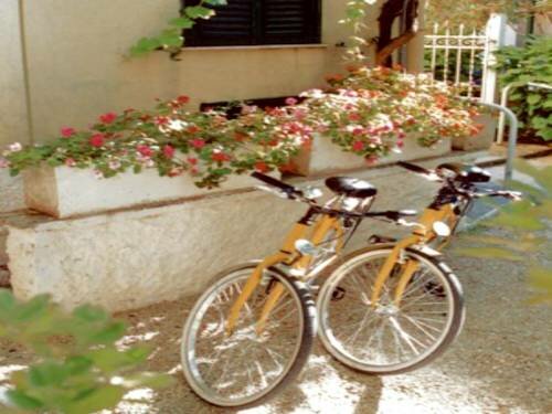 Гостиница Hotel Touring Wellness & Beauty во Фьюджи