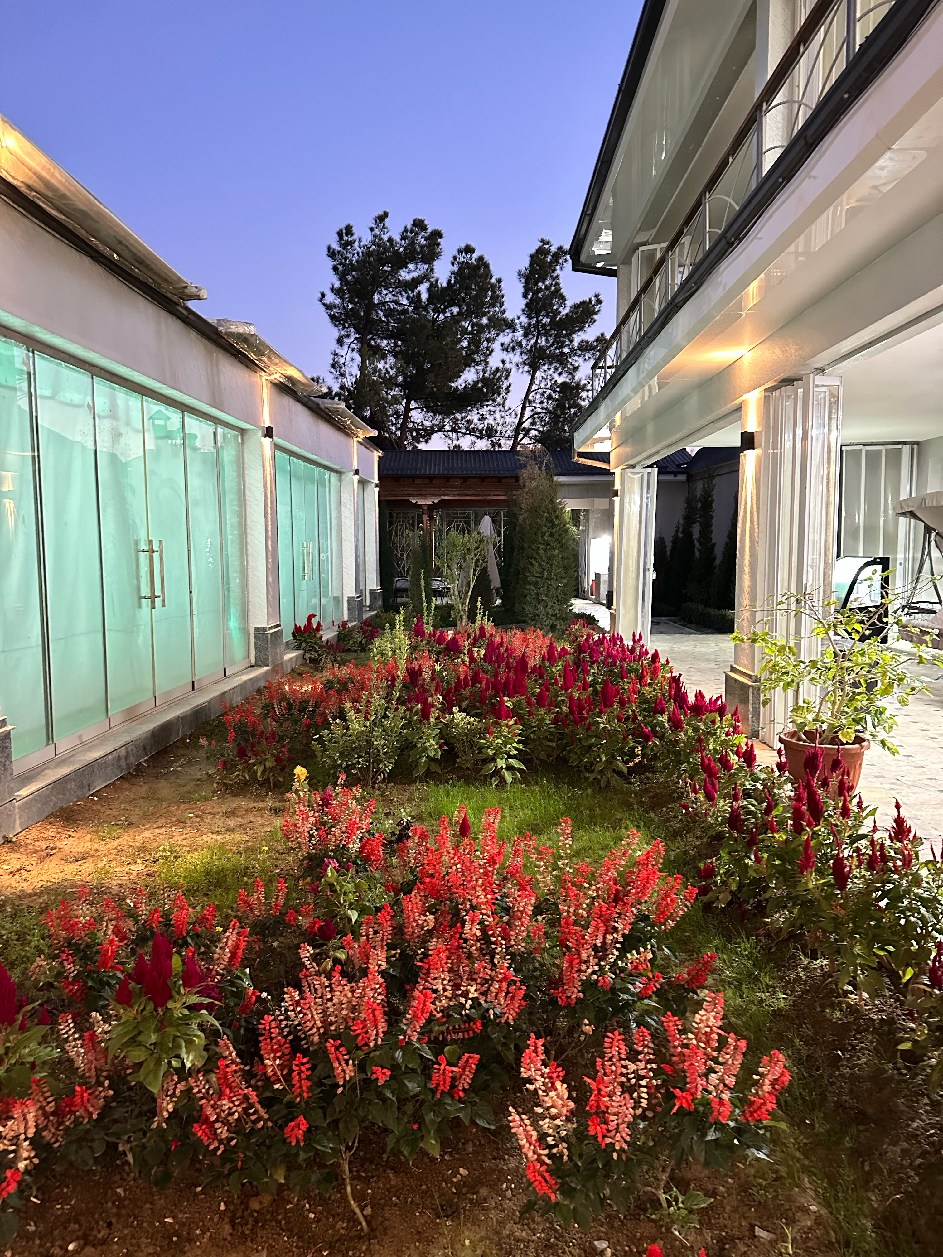 Dushdagi qiz dostining katta kokraklari